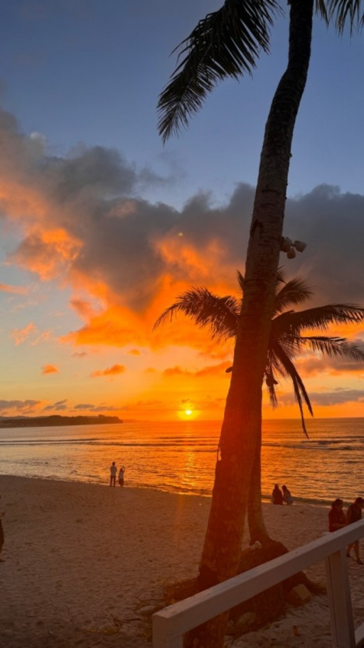 온아네 노을 ◞⛧