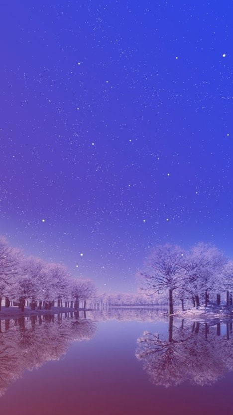 ⋰˚설레임⋰˚☃˚✼ [⚘]