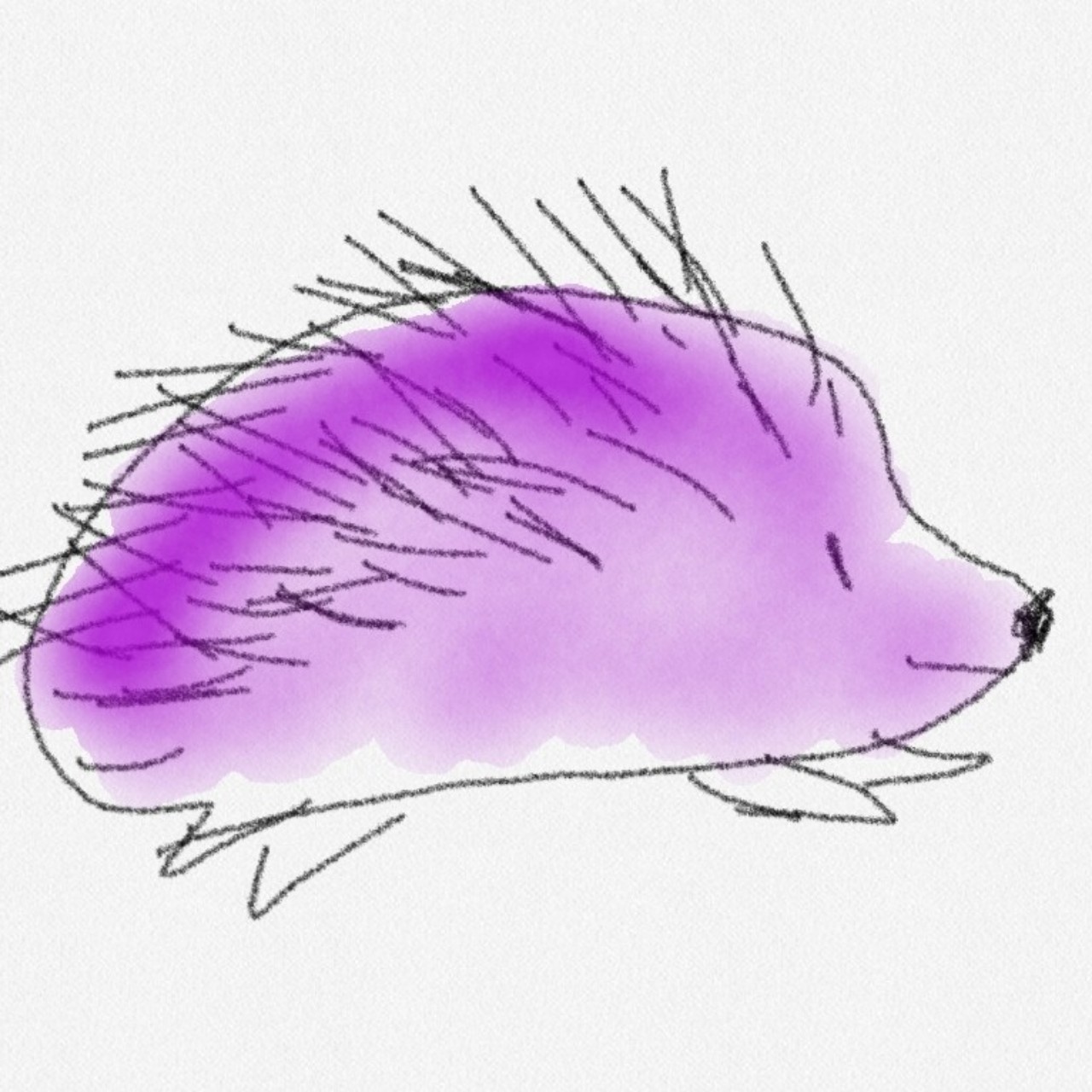 ๐ฆ๐ฎ ํ์ด็้ฒ_๐๐๐๐