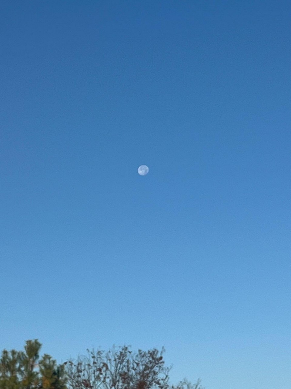 ℂs̸밀크M̤̈K̤̈