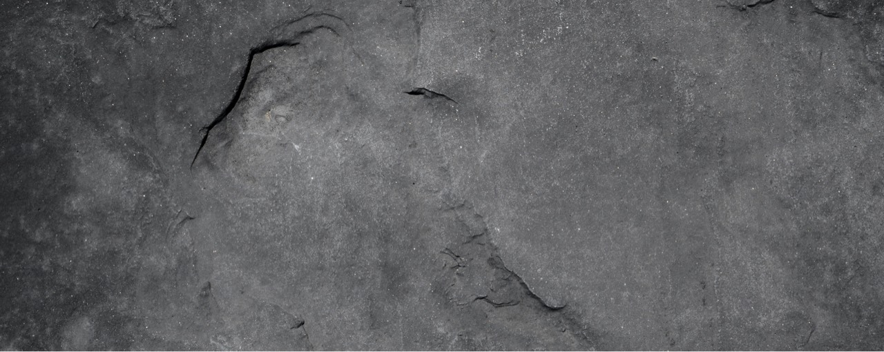 D͙ɪɴɢ's 재권초이🤦🏻