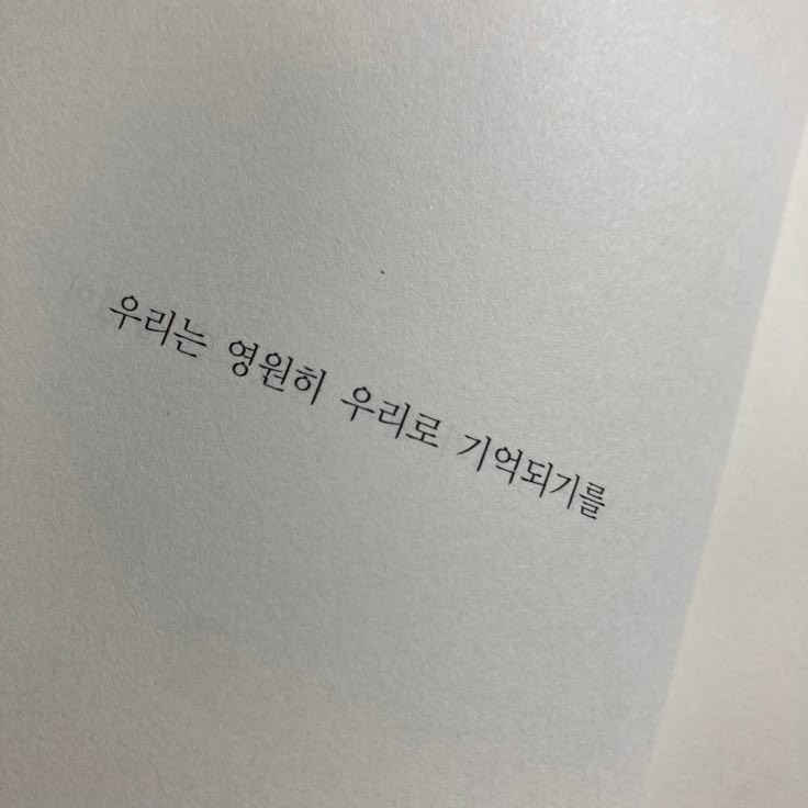 ɴ ᴀ ʙ ɪ