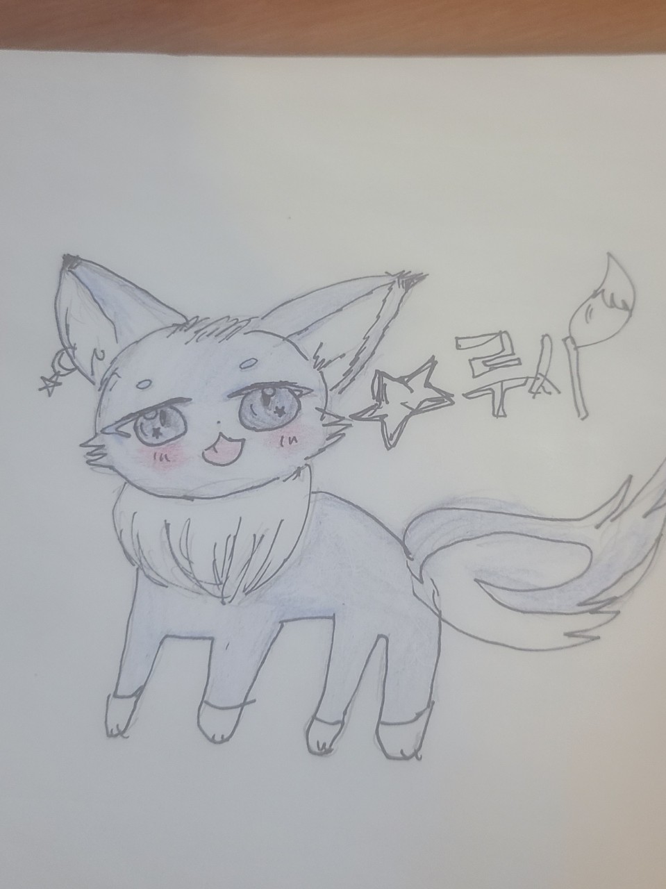 🐺루시 목쓰  ⚸🐉