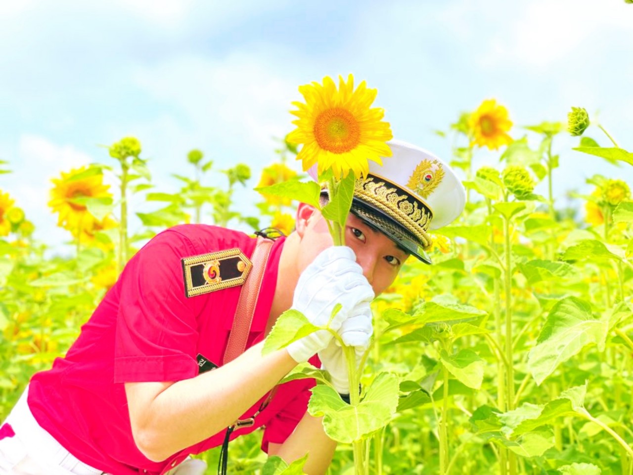 𖧒˖˚  SCENERY ⥁ⷬᣳ