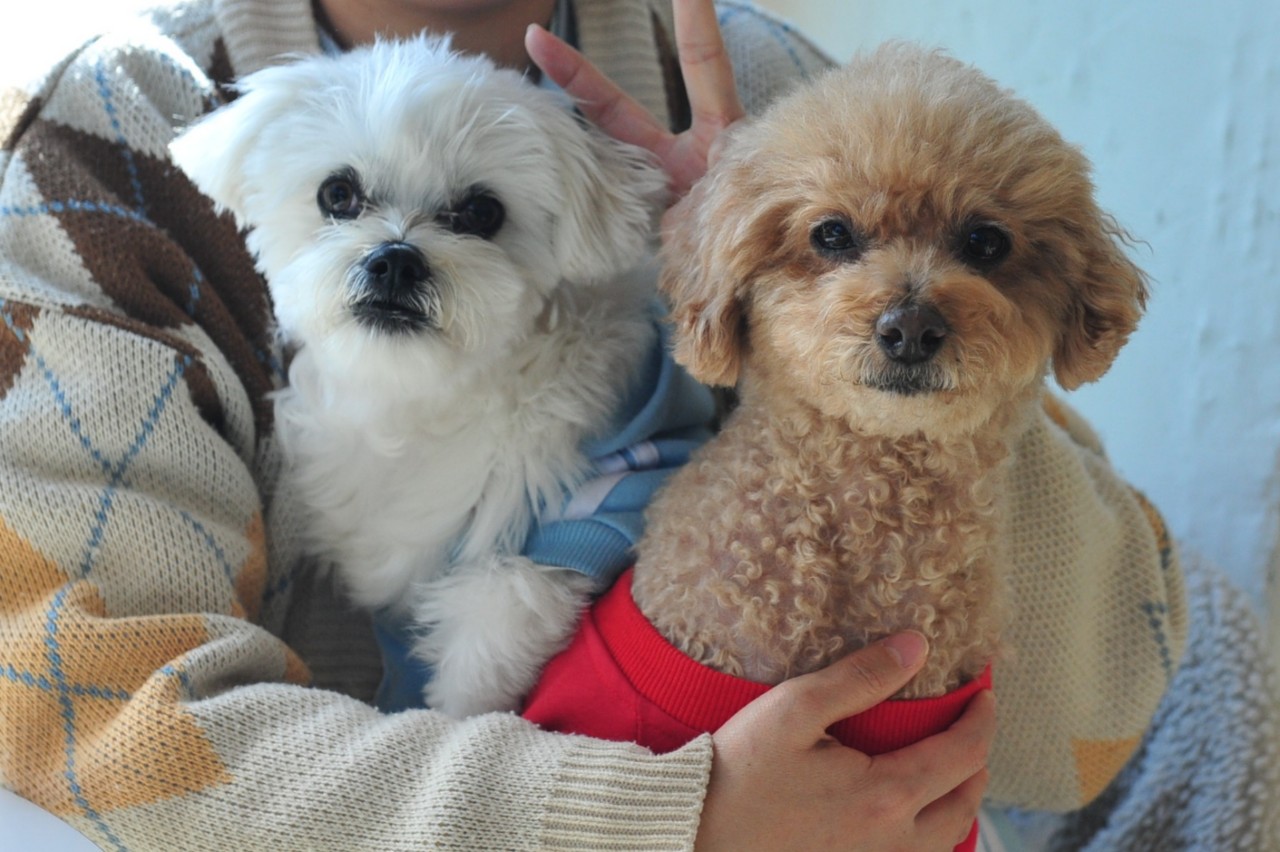 ๐์ด์์ฝฉ๐