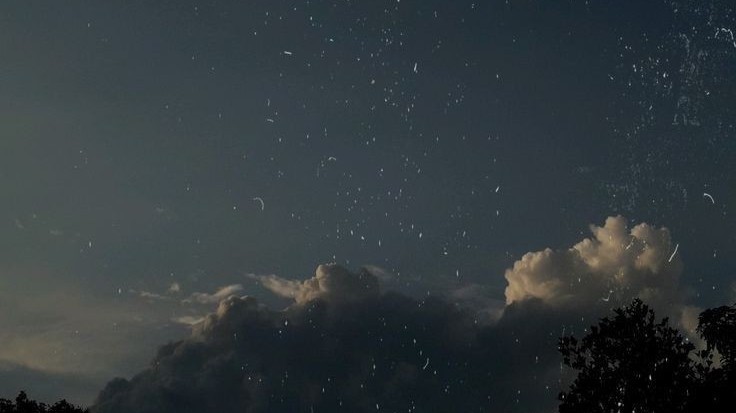 ็ทฃ๐ด.๐๐๐๐๐