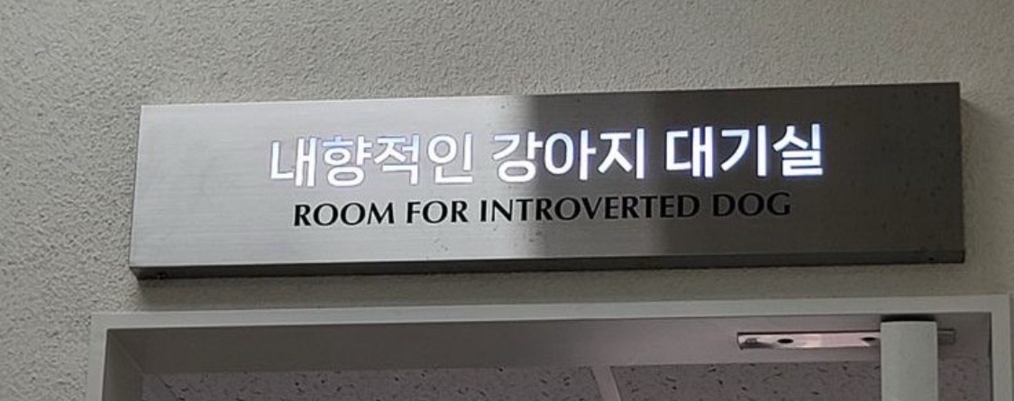 현