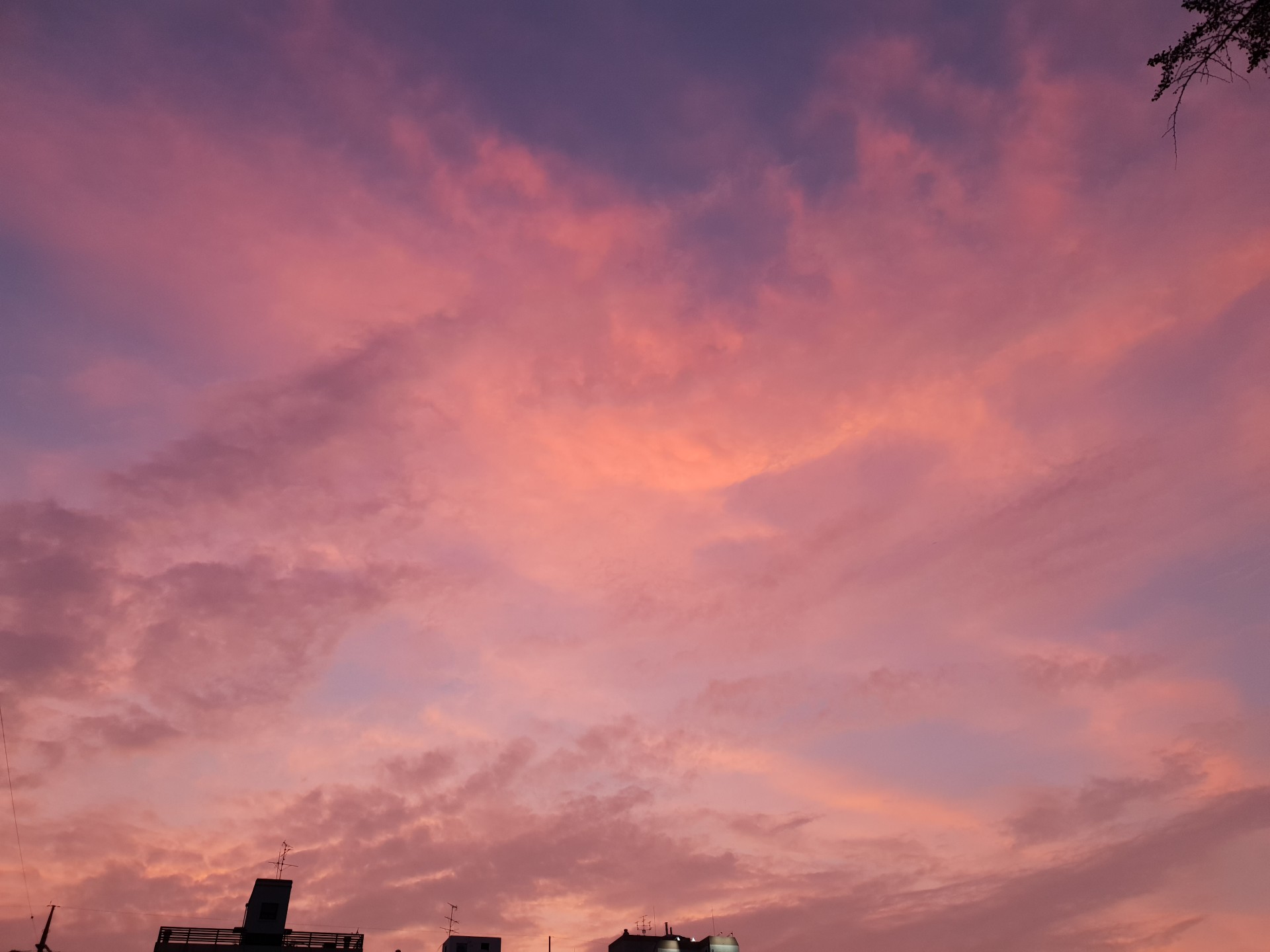 ๐ฏ๋จ์ง๐