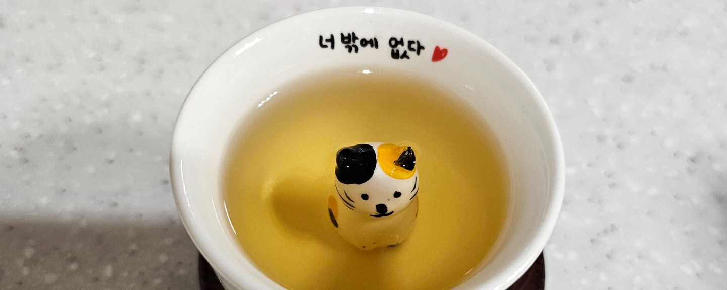 뿌냐⋰˚*🦋