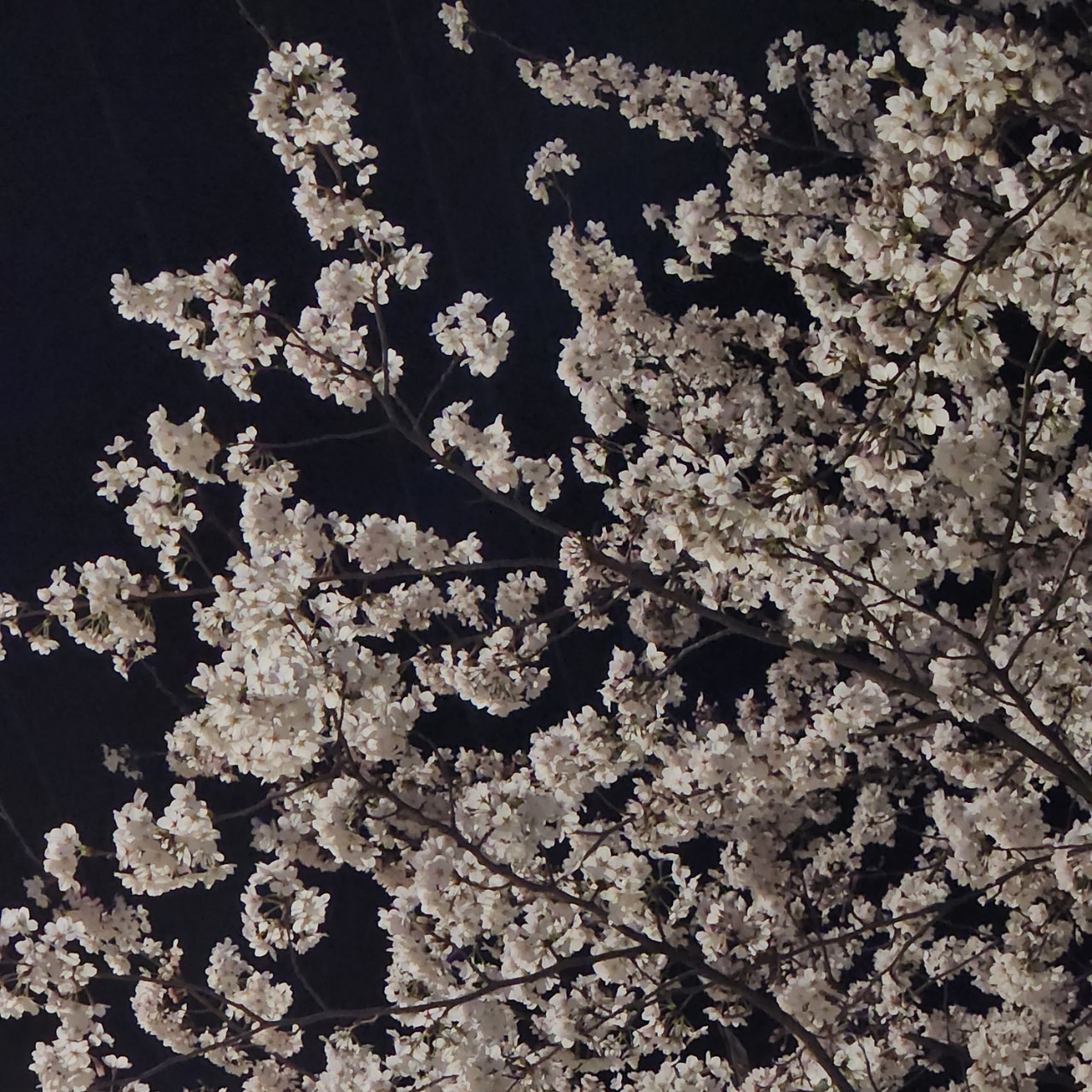 유 하 늘 𖥷₊˚