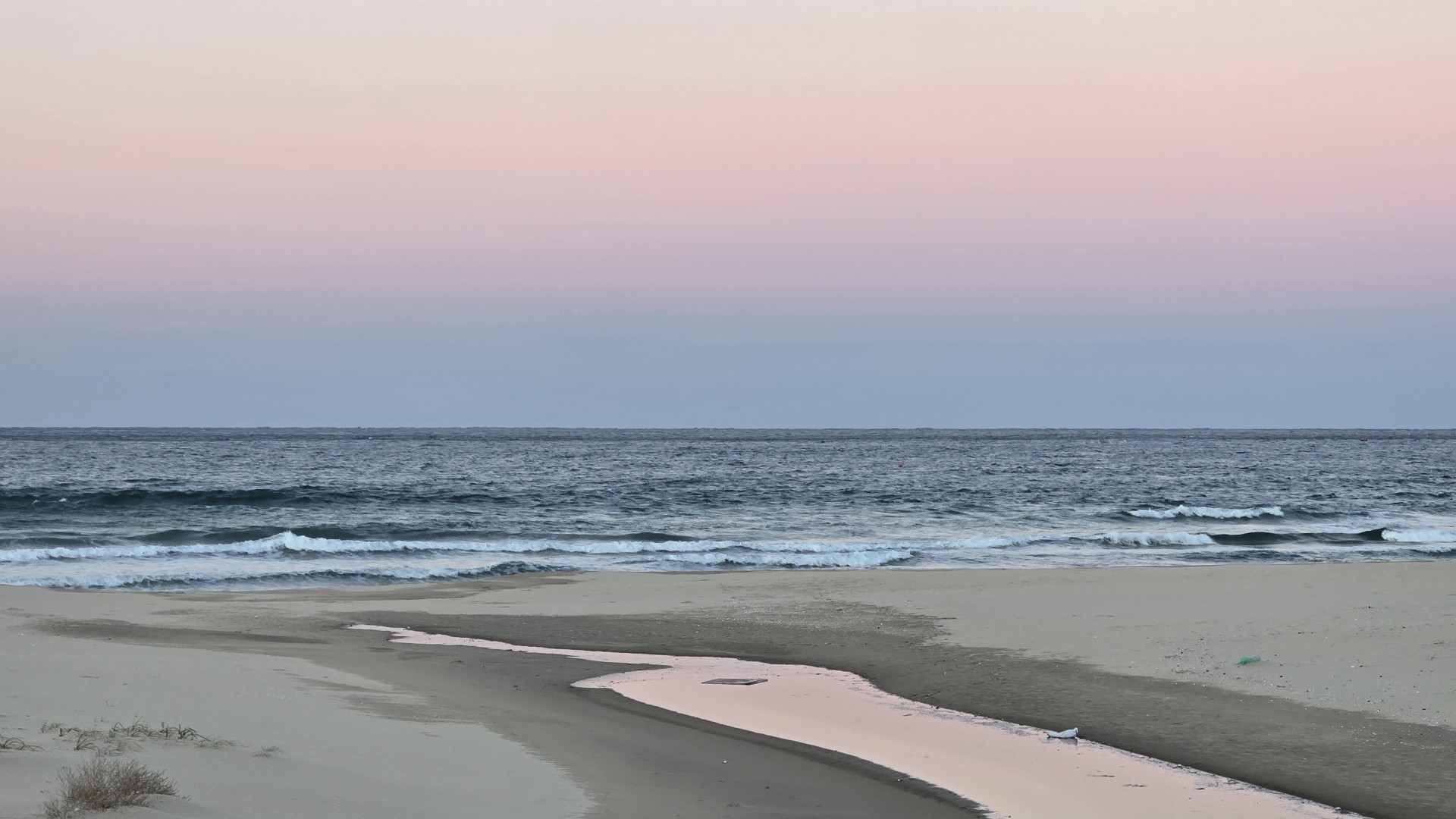 ๐ฏ์ญ์ผ๋ ๊ฟ๋
์ฝฉ