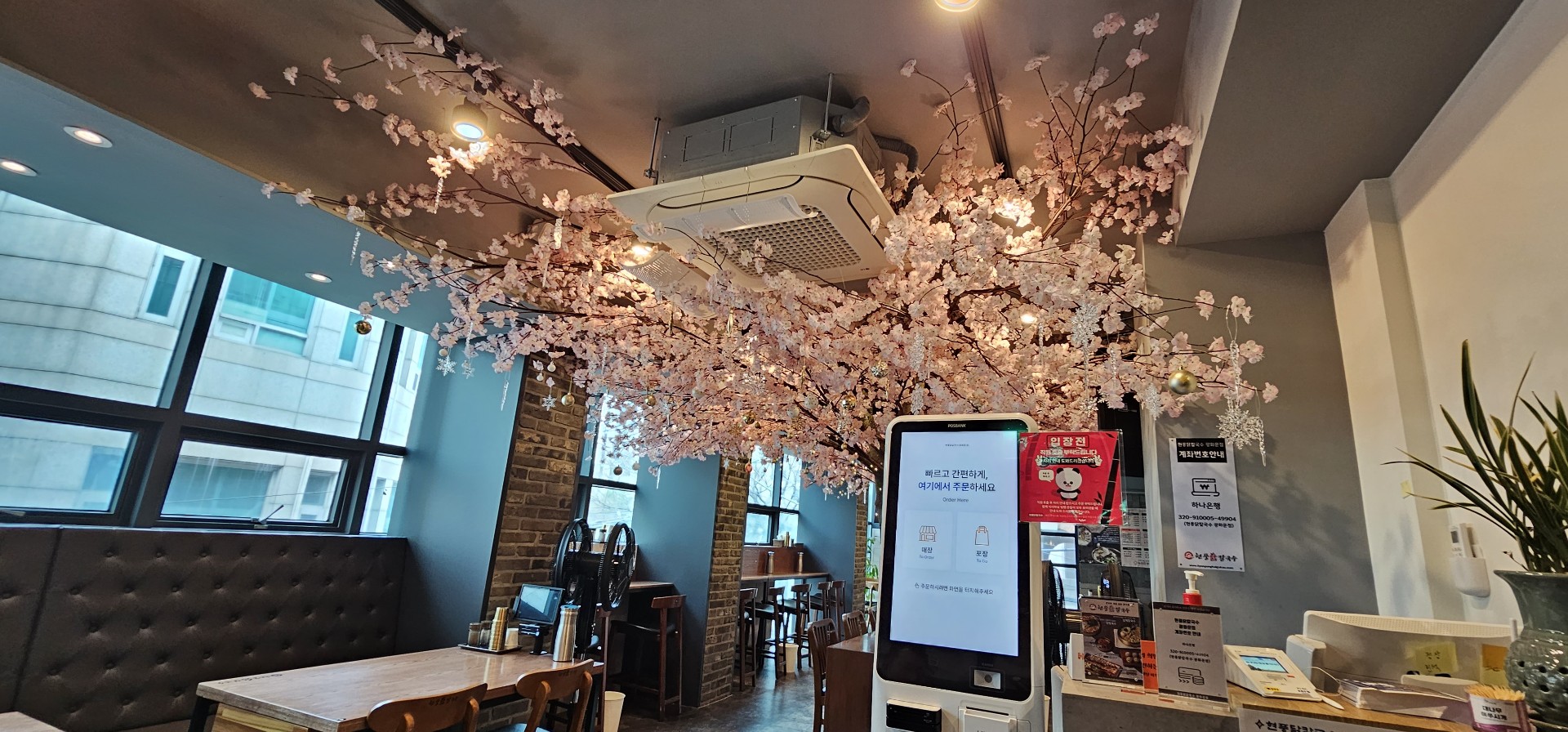 타로뽑는 고양이 유진