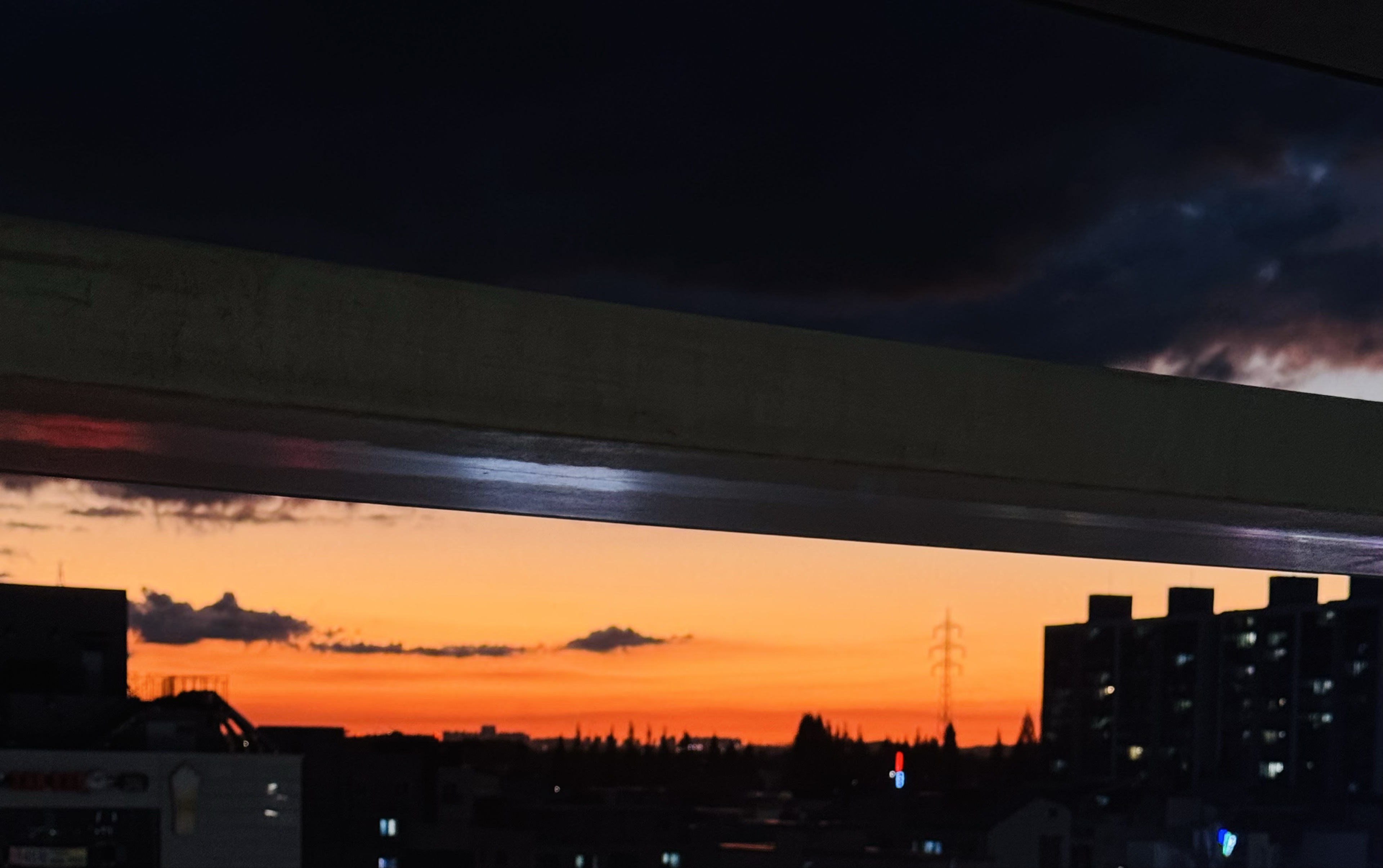 숲