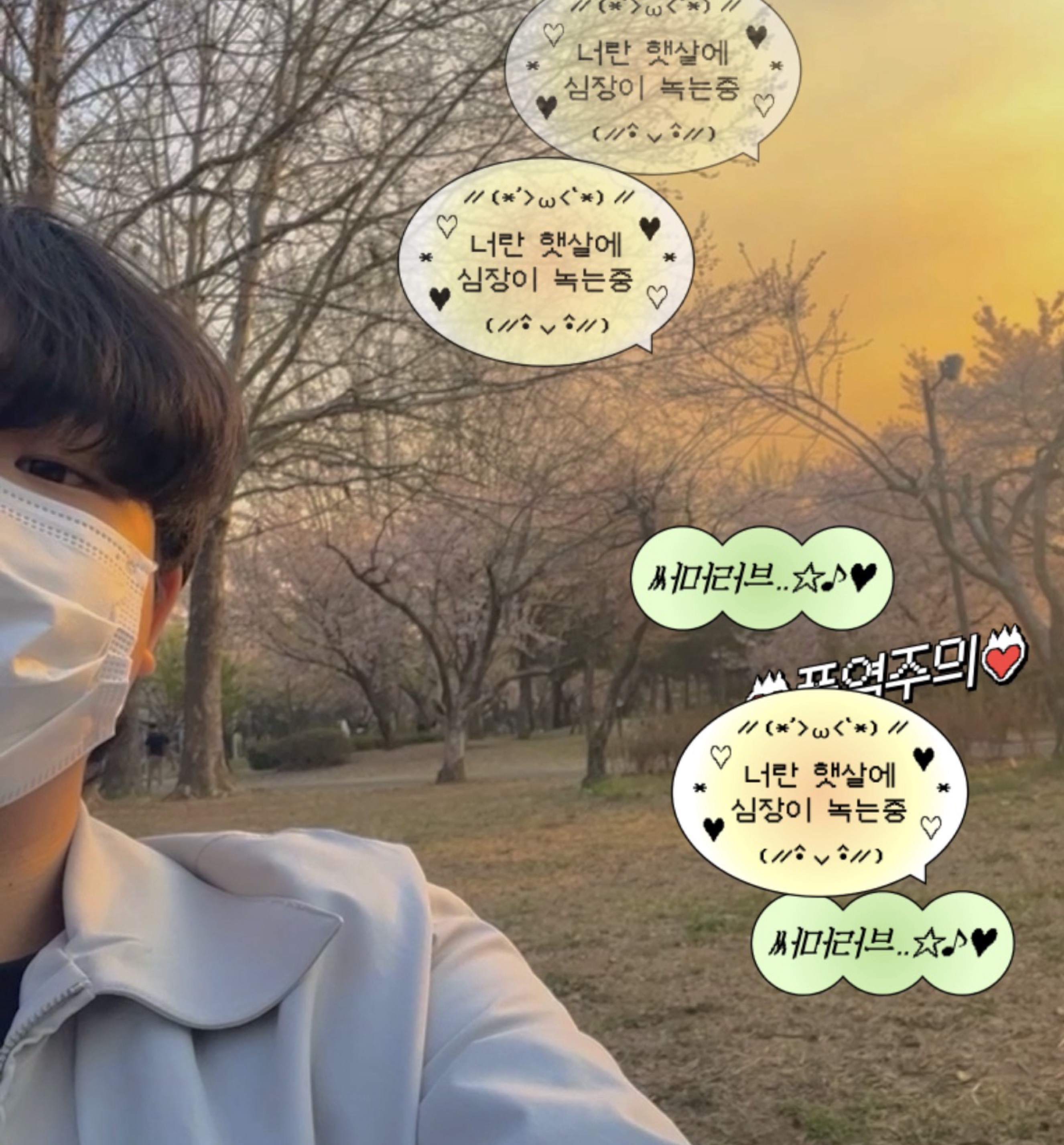 ๐ฎ ๋ฐฑ ํ ๐ถ โ๏ธ โงโห