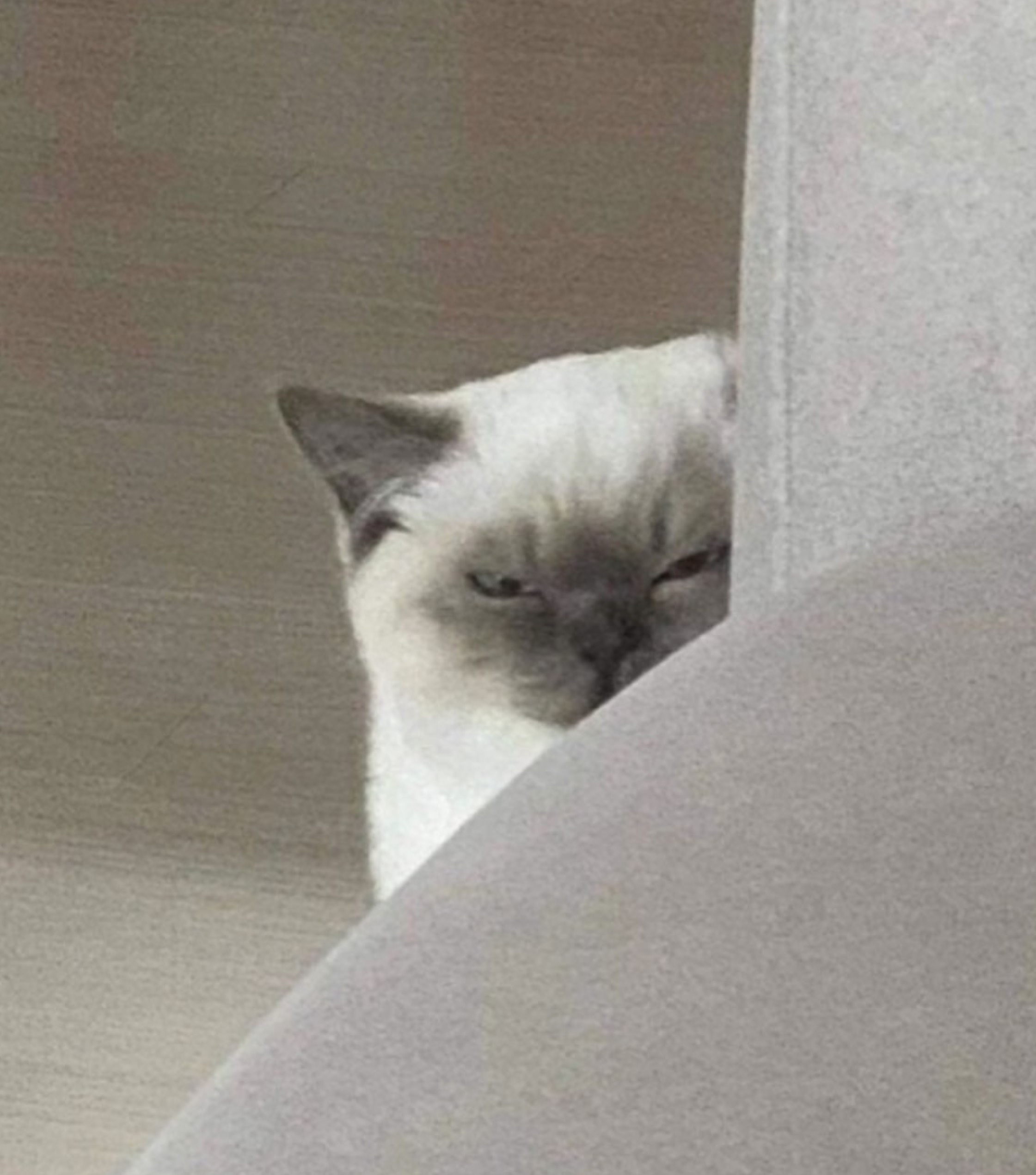 ๐จฉห ์ ์