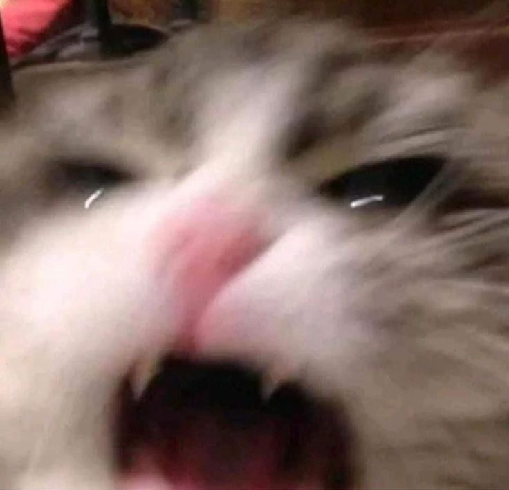 누리