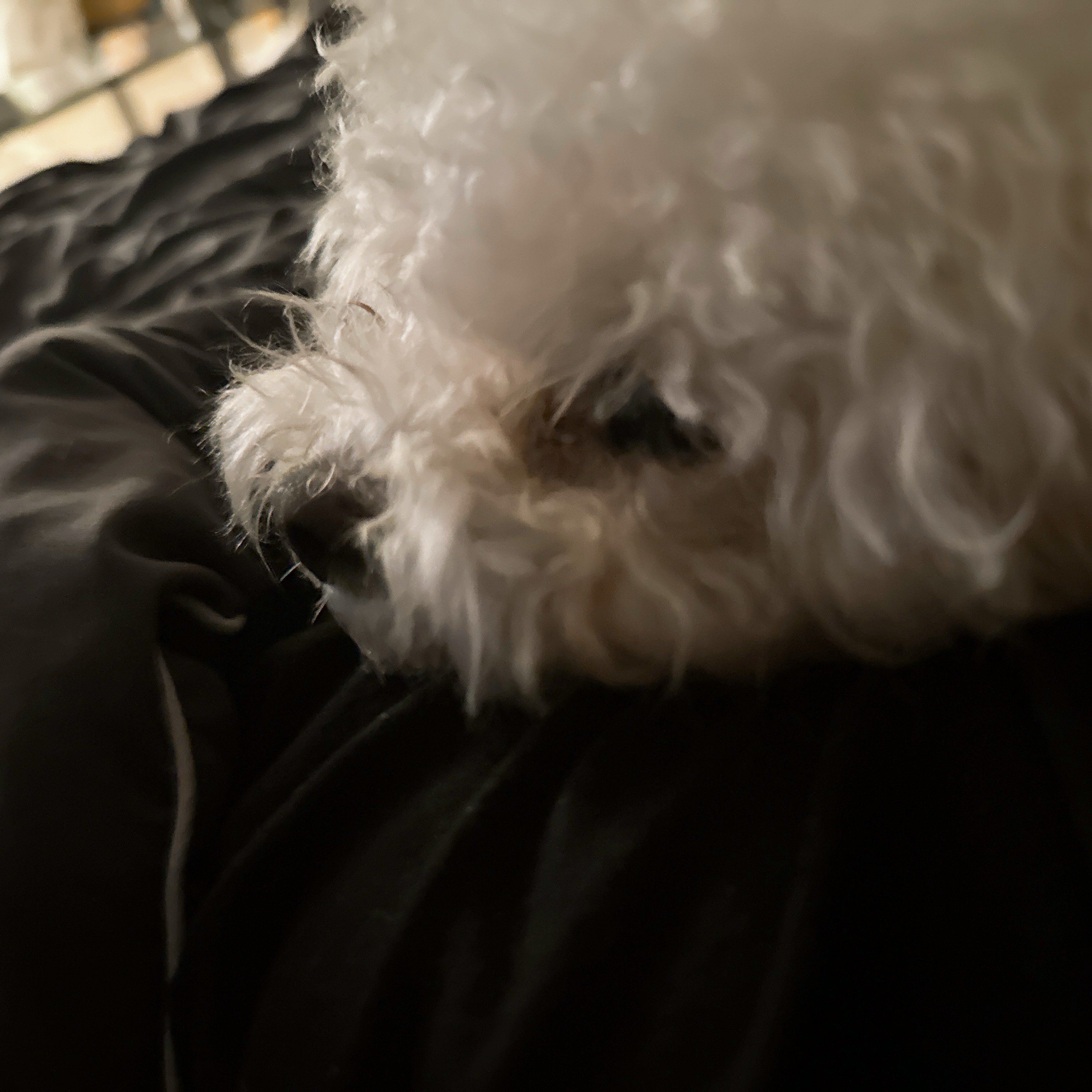 👶🏻 예 수 님