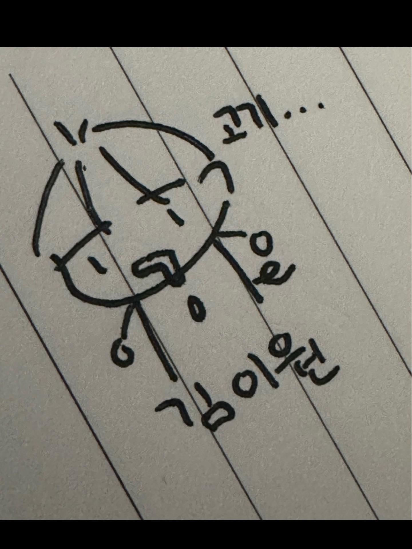 쓸떼없는 gogi