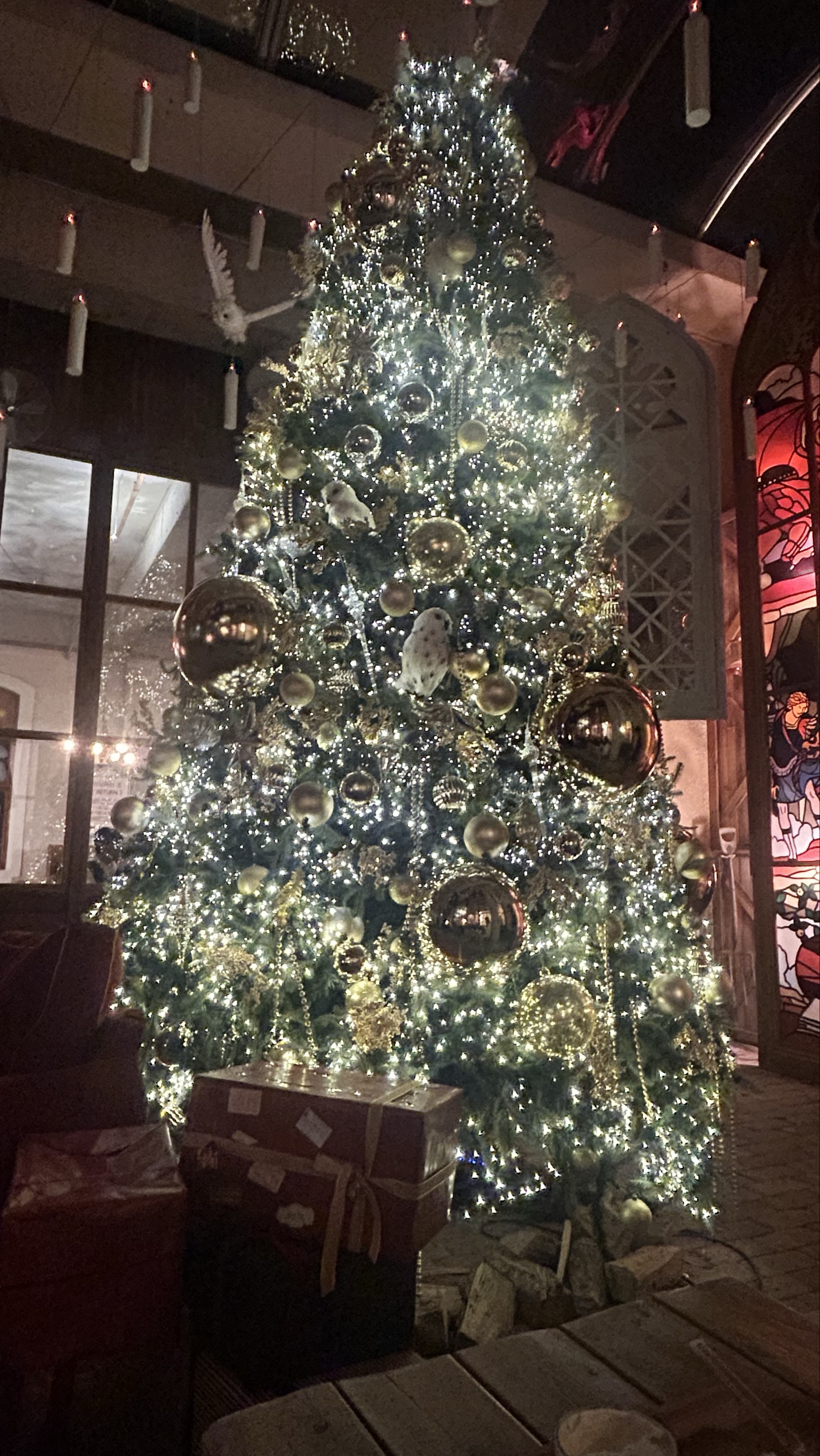 수 미니 𝒔˚₊·