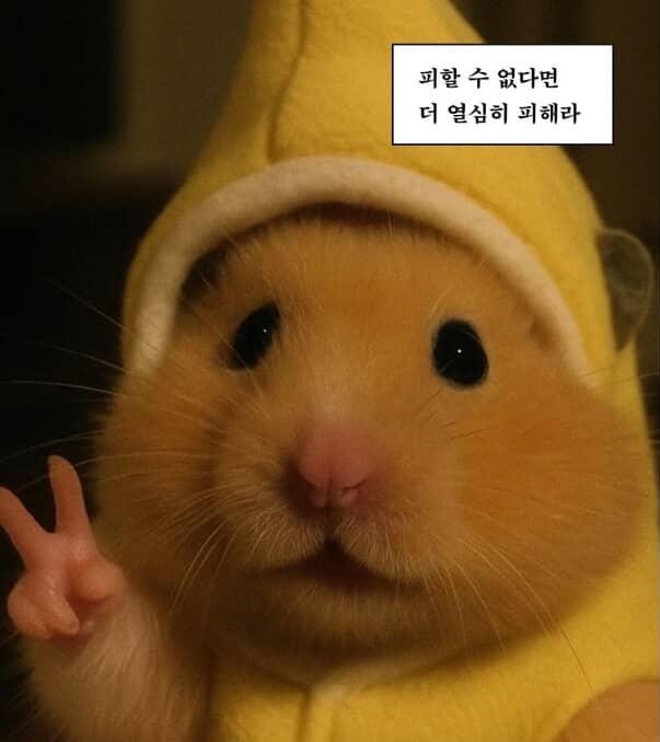 ꔭ 숟후다만의 마린