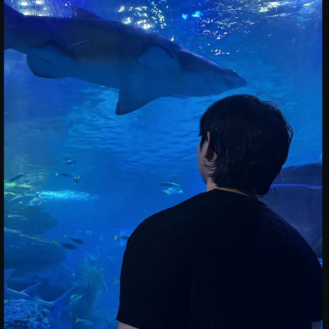 .:*𝓜𝔂𝓪𝓷𝓰*:. 렛 트