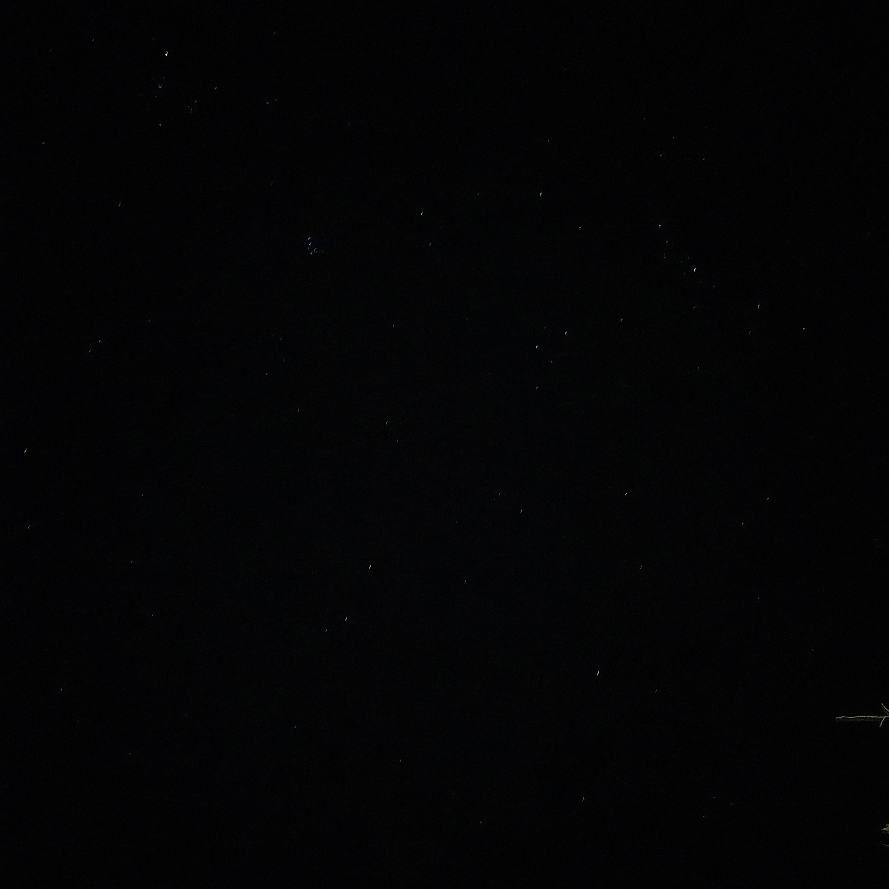 ✪서울시대표귀요미