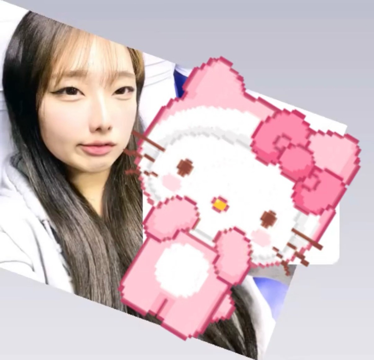 라이징 ﾒ 냥 냥