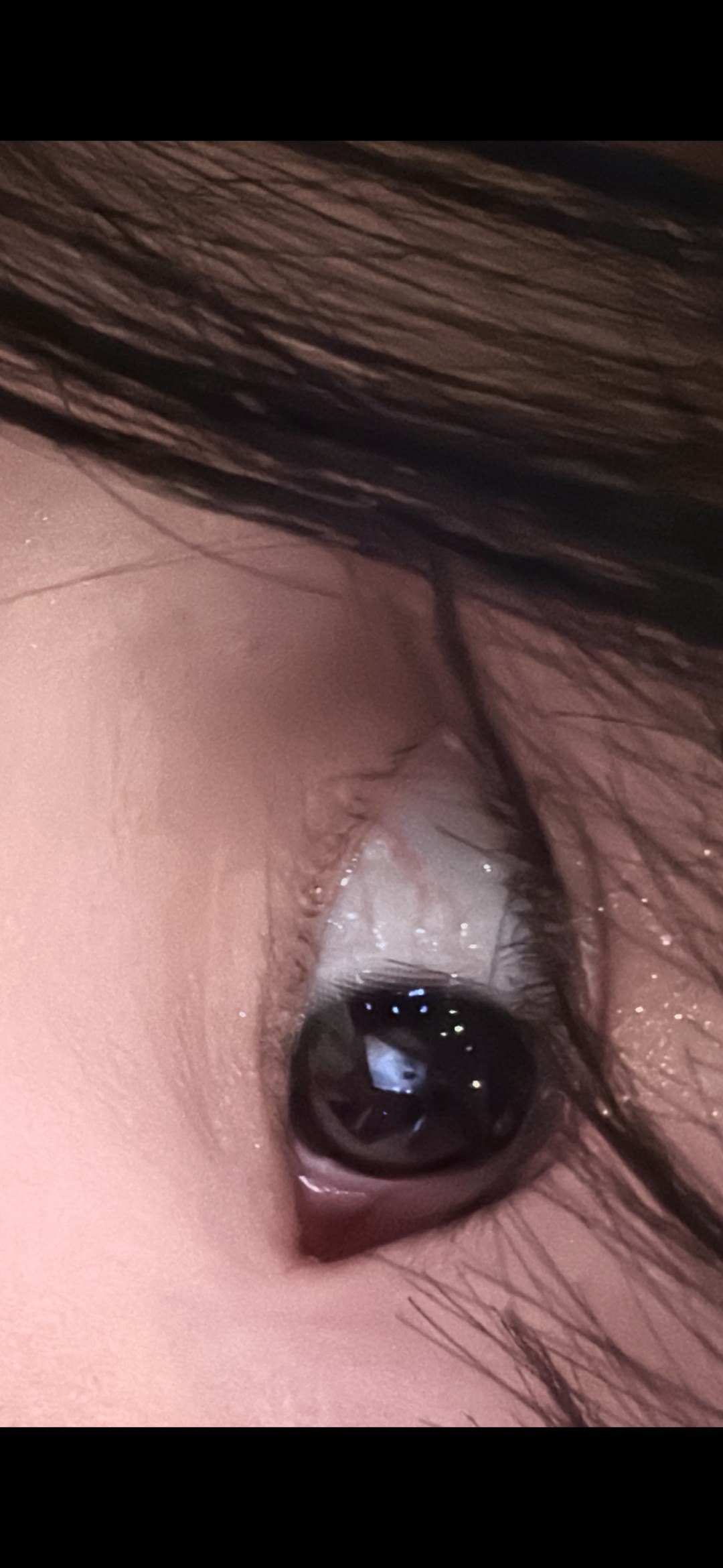 𝒥 Ɇ𝒩𝒜˳˚̊̊⌖신붕이