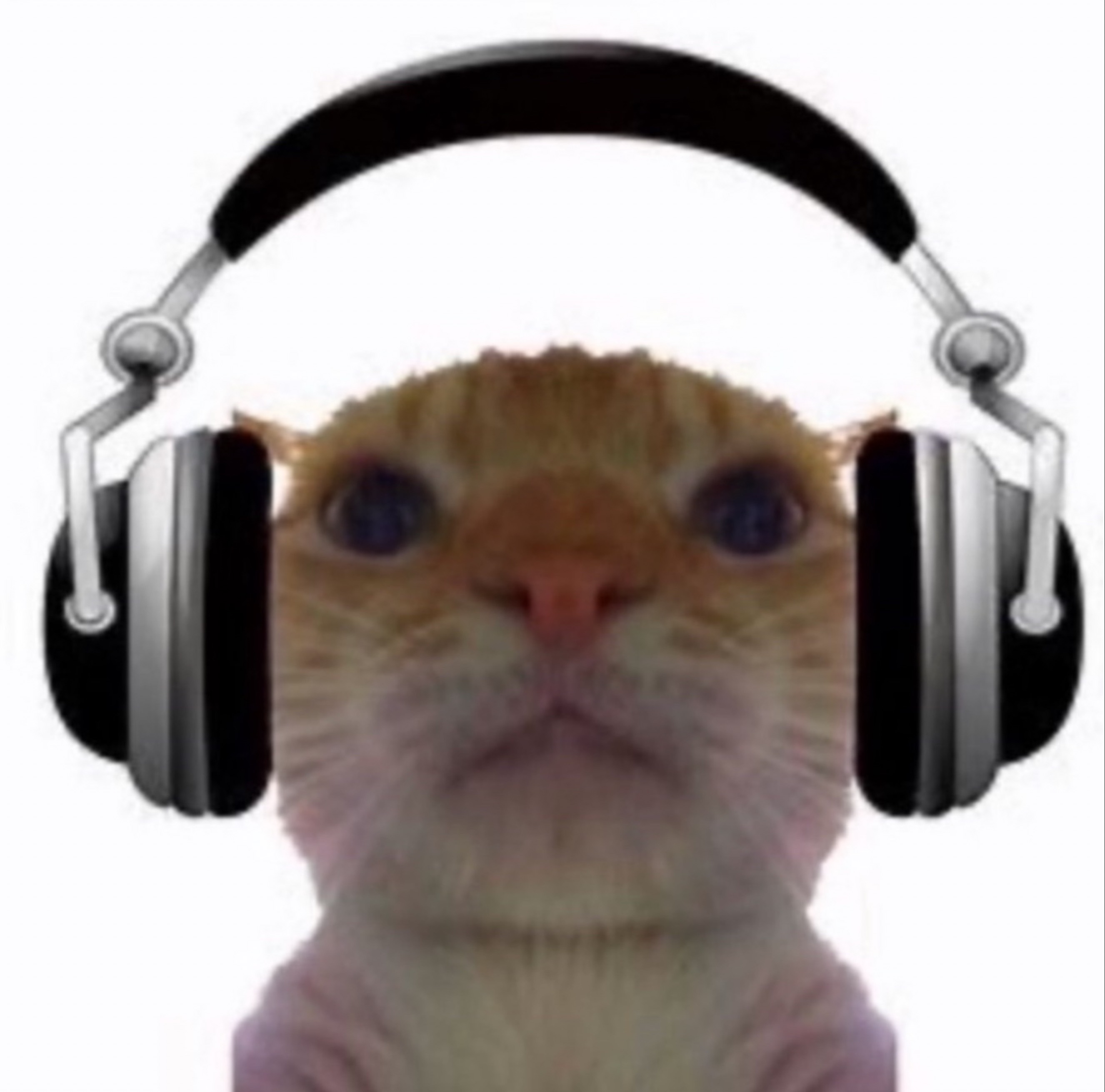 레몬나르고빚갚으리오