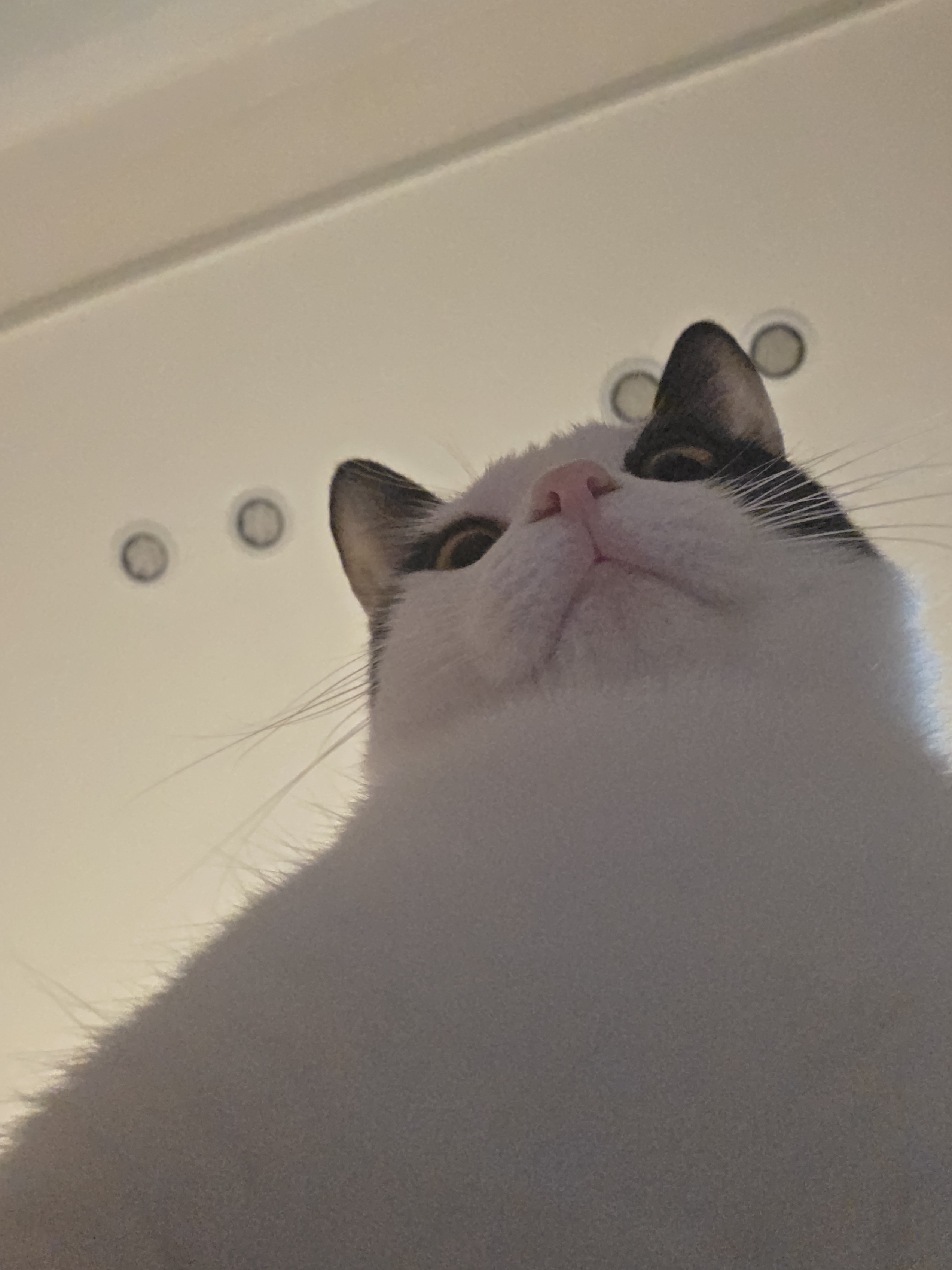 지화자🎤🎙🎤🎙