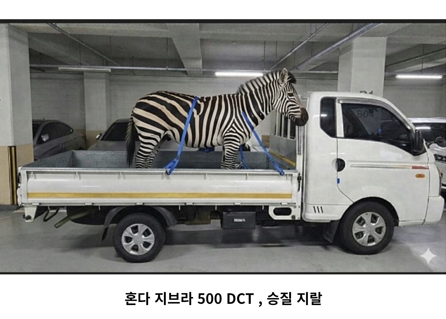 ꔪ⠀ ⋆⠀ 쿠어어엉⠀ ⋆⠀