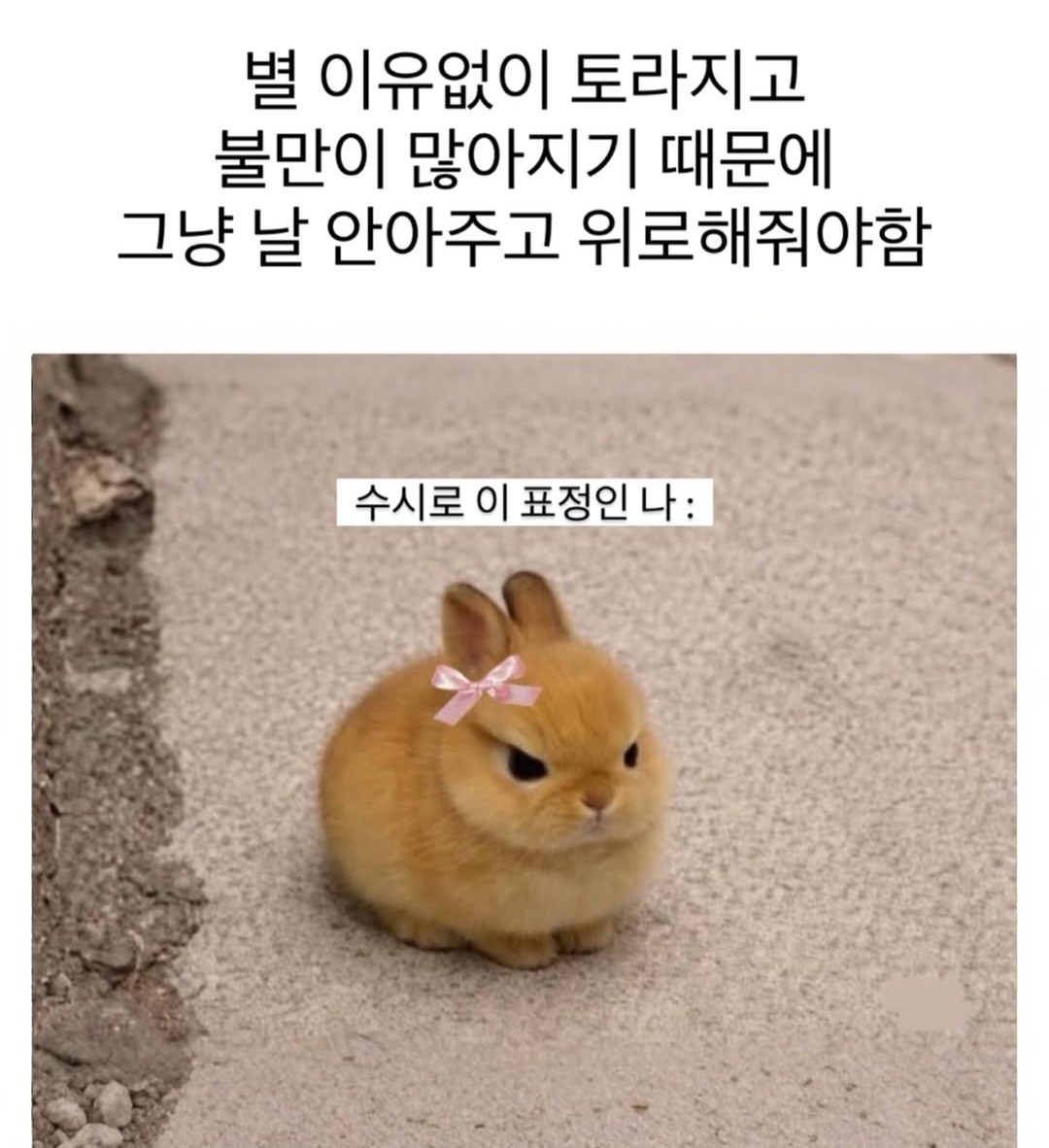 메 롱