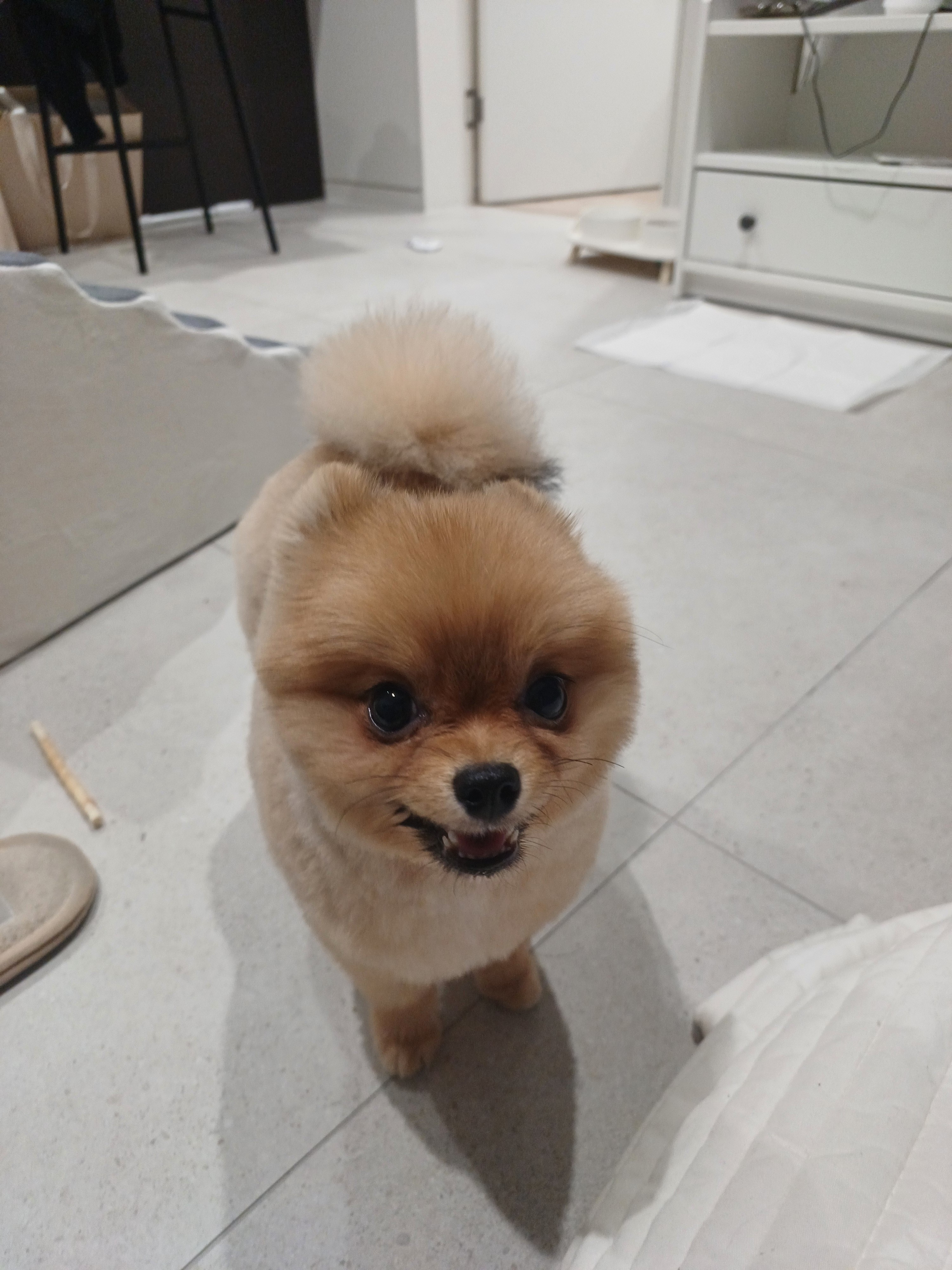 예뻐해줄게 ᶻ 𝗓 𐰁 .ᐟ