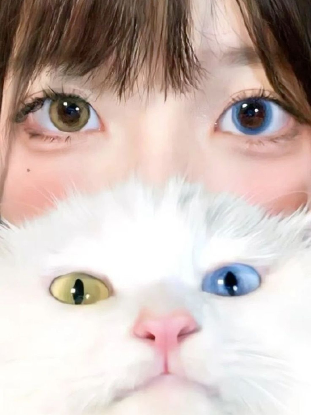 ☁️솜사탕🍬💜🐈‍⬛