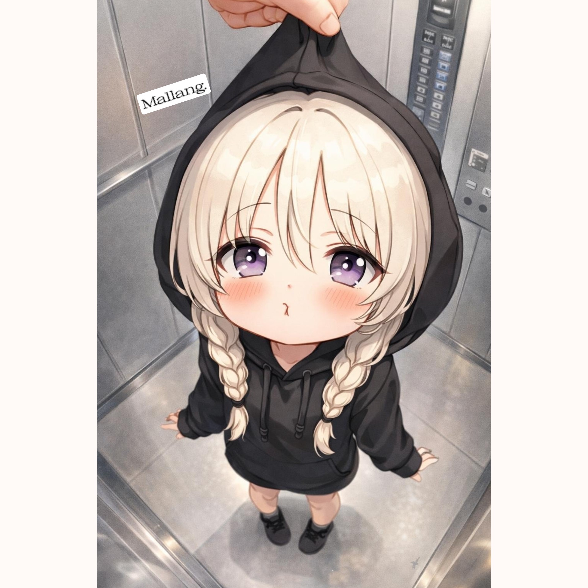 🔹️임페의 mal:lang 