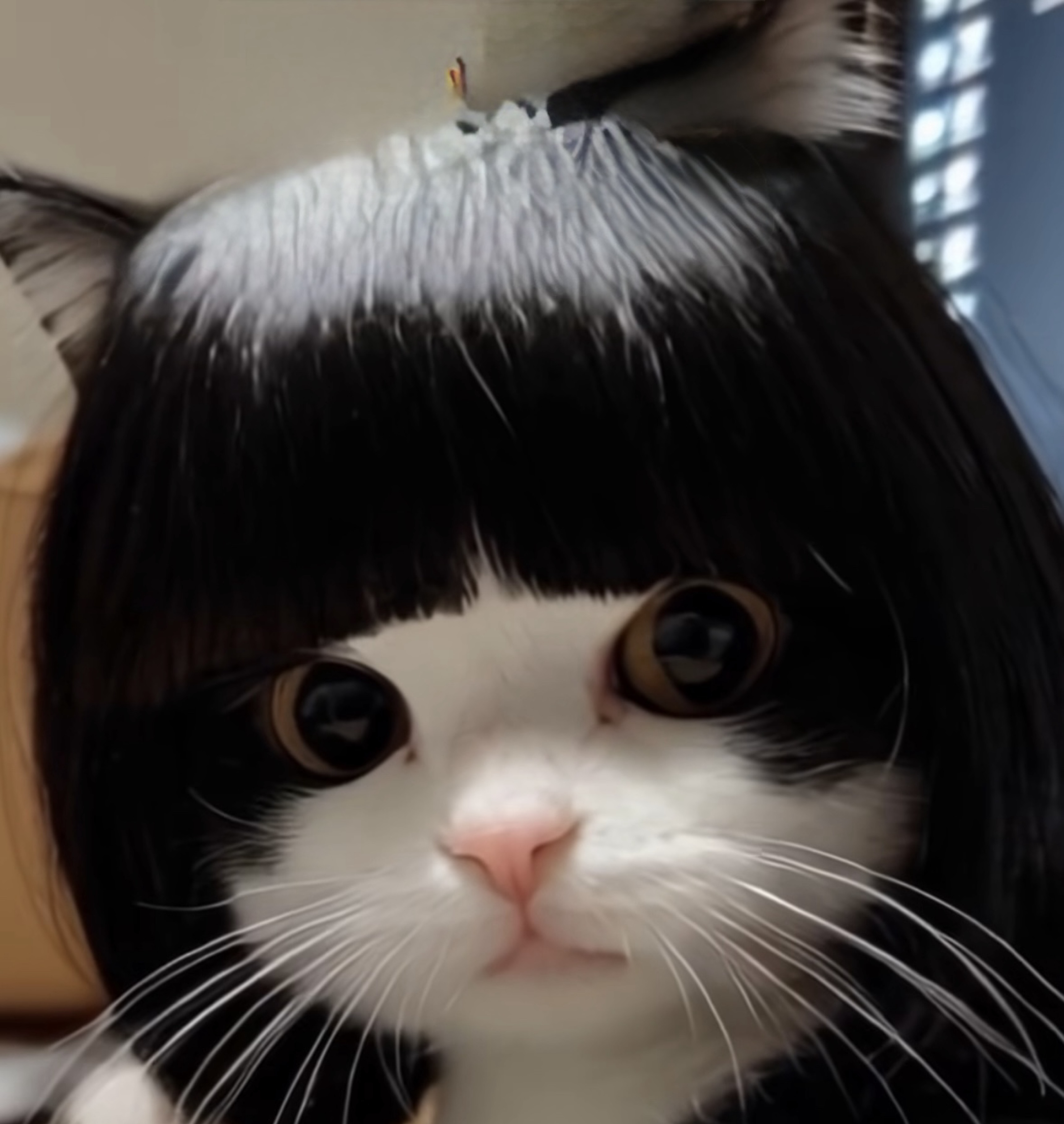 햅삐ᵐᵃʳᵘ🧡