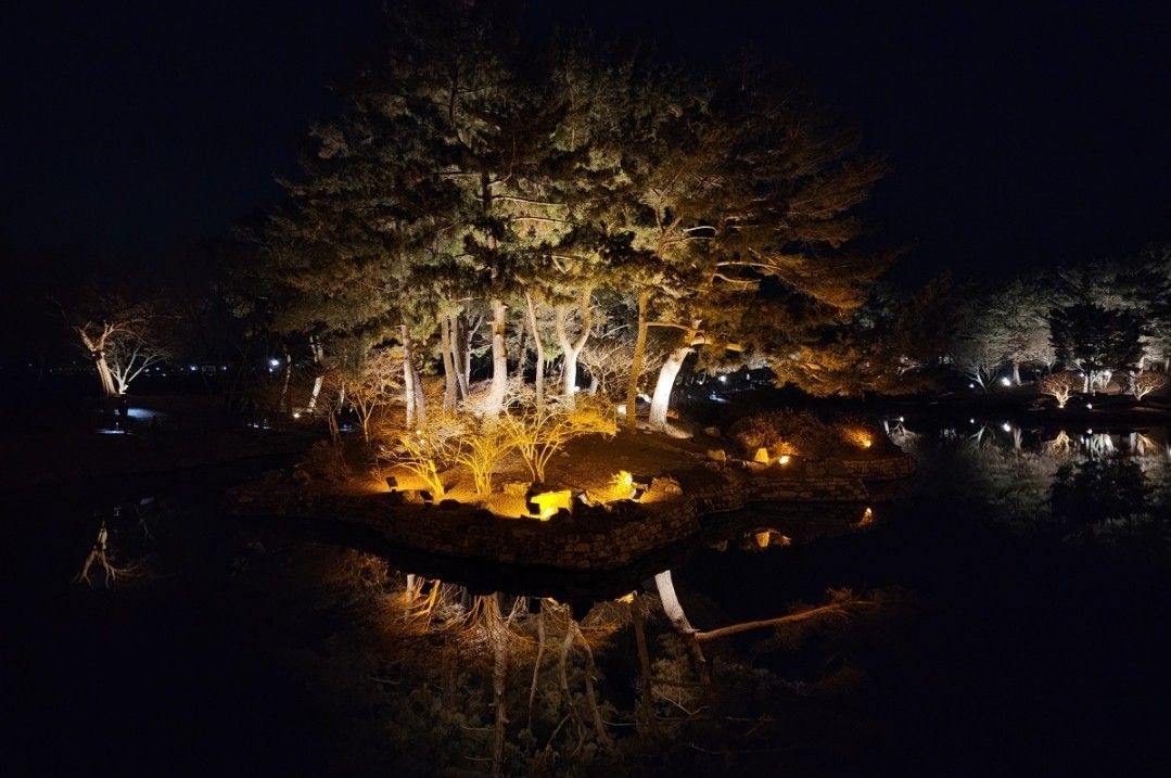 마 루