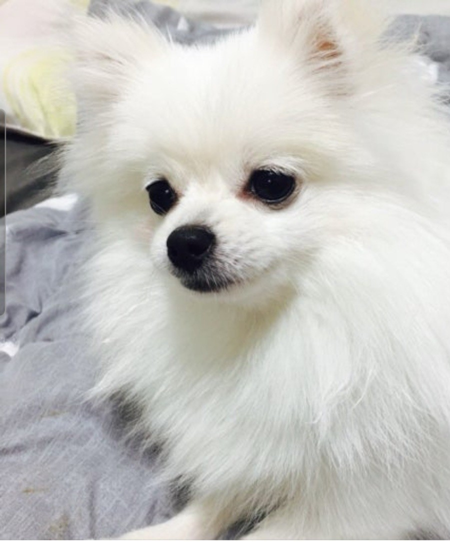  ઇ김_사일ଓ🌊🏄🏻‍♂️ 