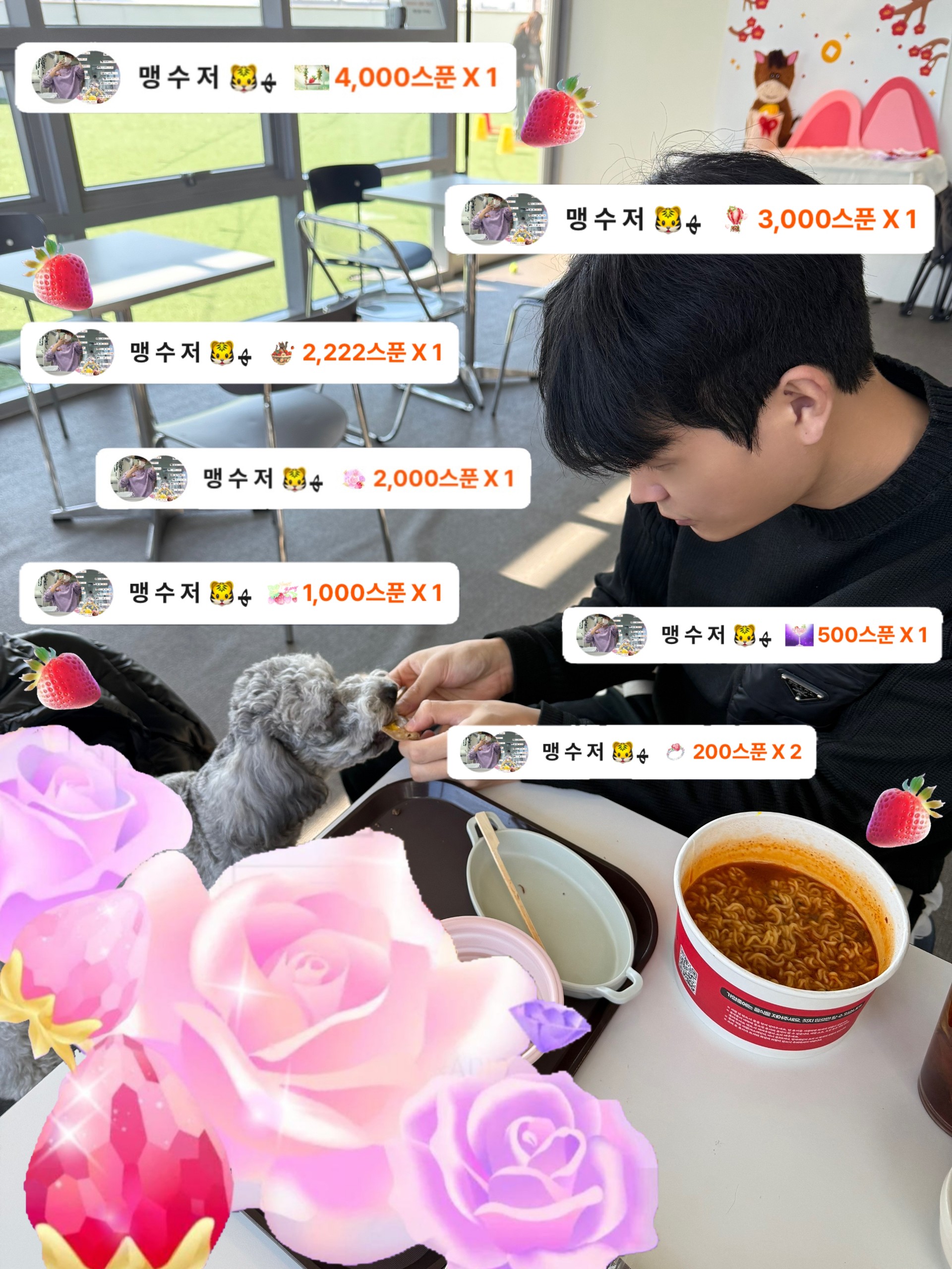 👶🏻 맹    호 🐯ﻬ 