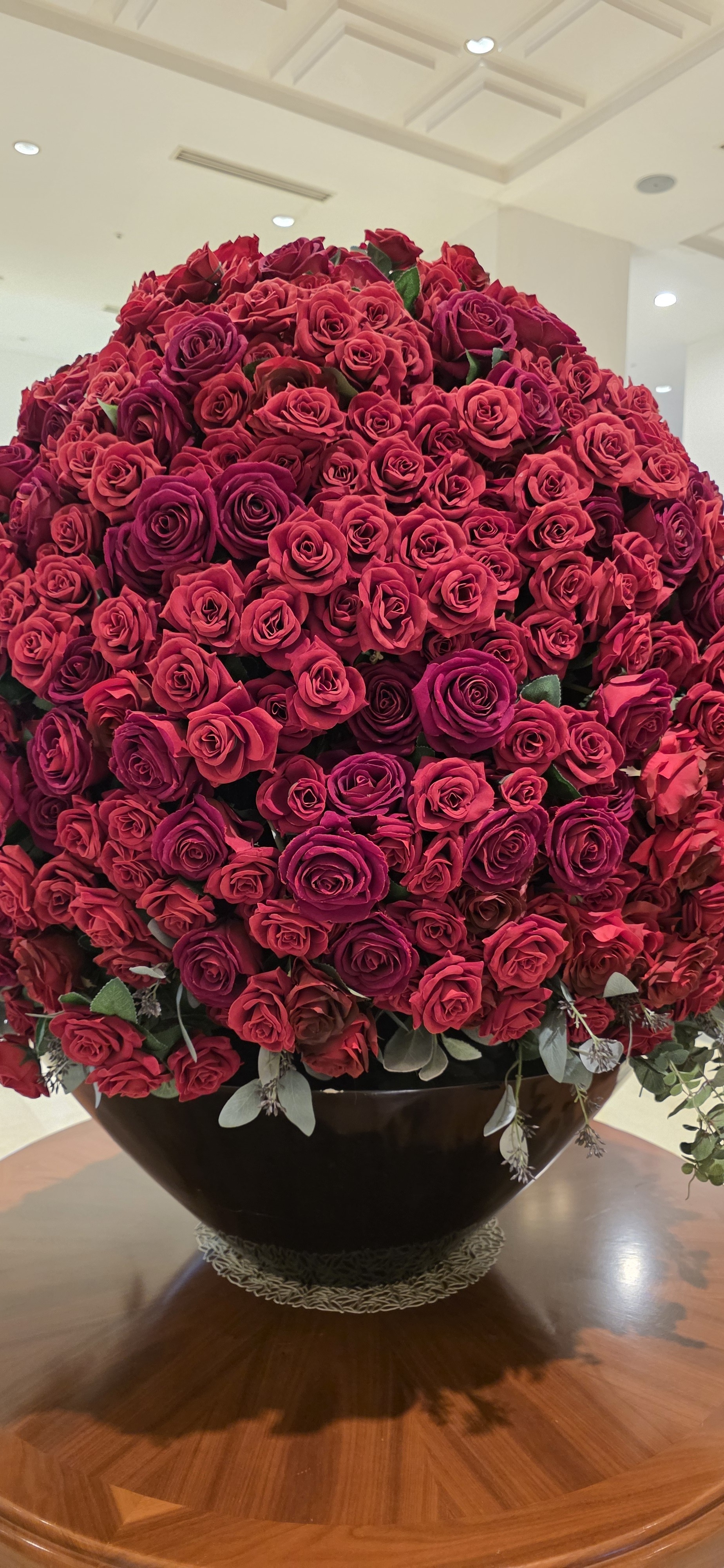 Piaro ᔆʳ♪ˎˊ˗