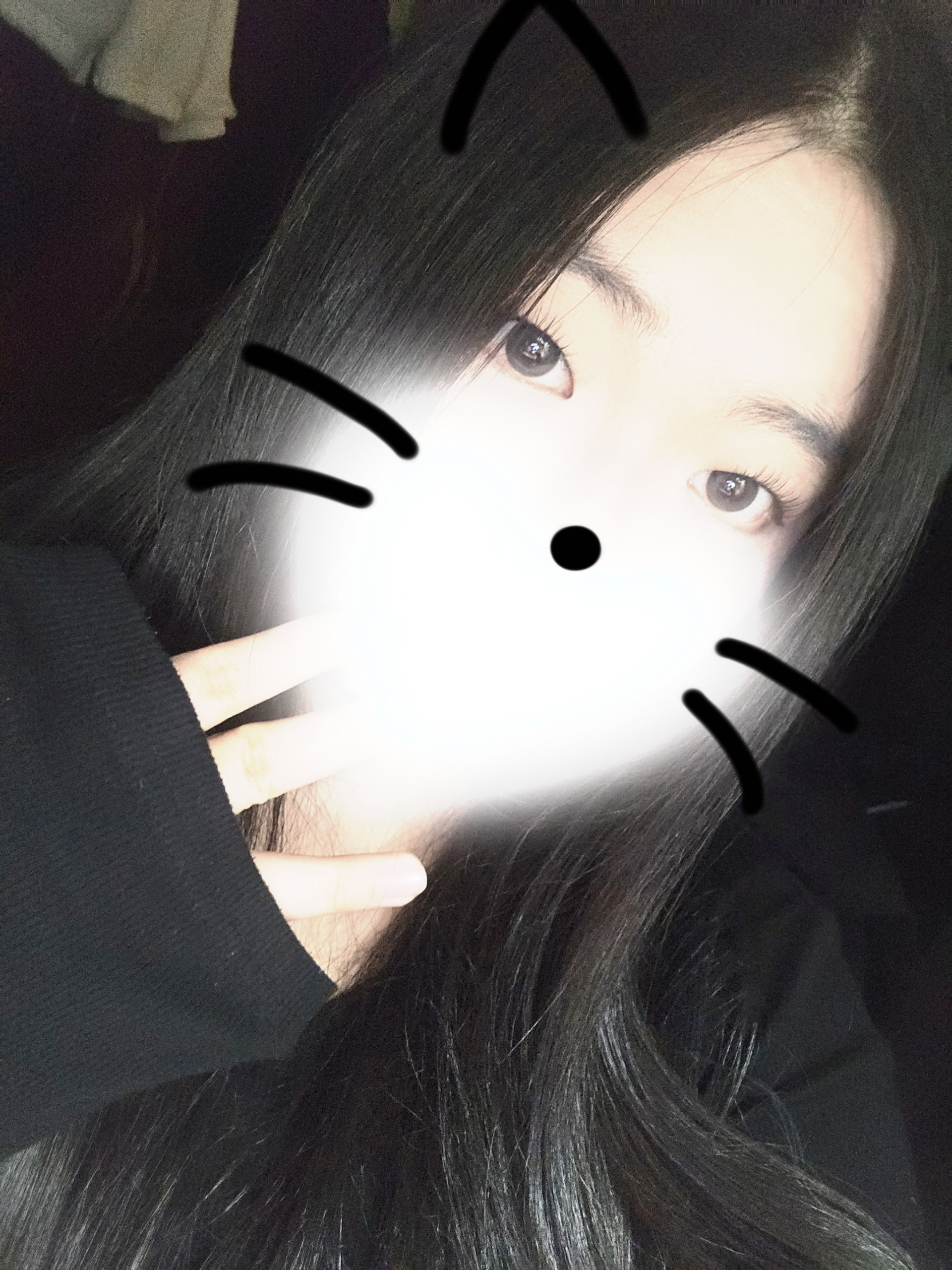 𝐜𝐚𝐭 🐾໊ 