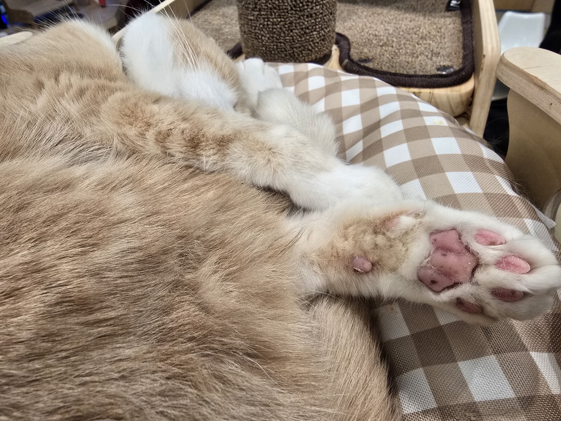 분 당 Bᴇɴᴢ_🥇