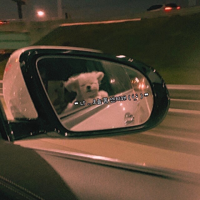 ๐ฏเพ_๋ฒผ ๋ฆฌ โโฝเท