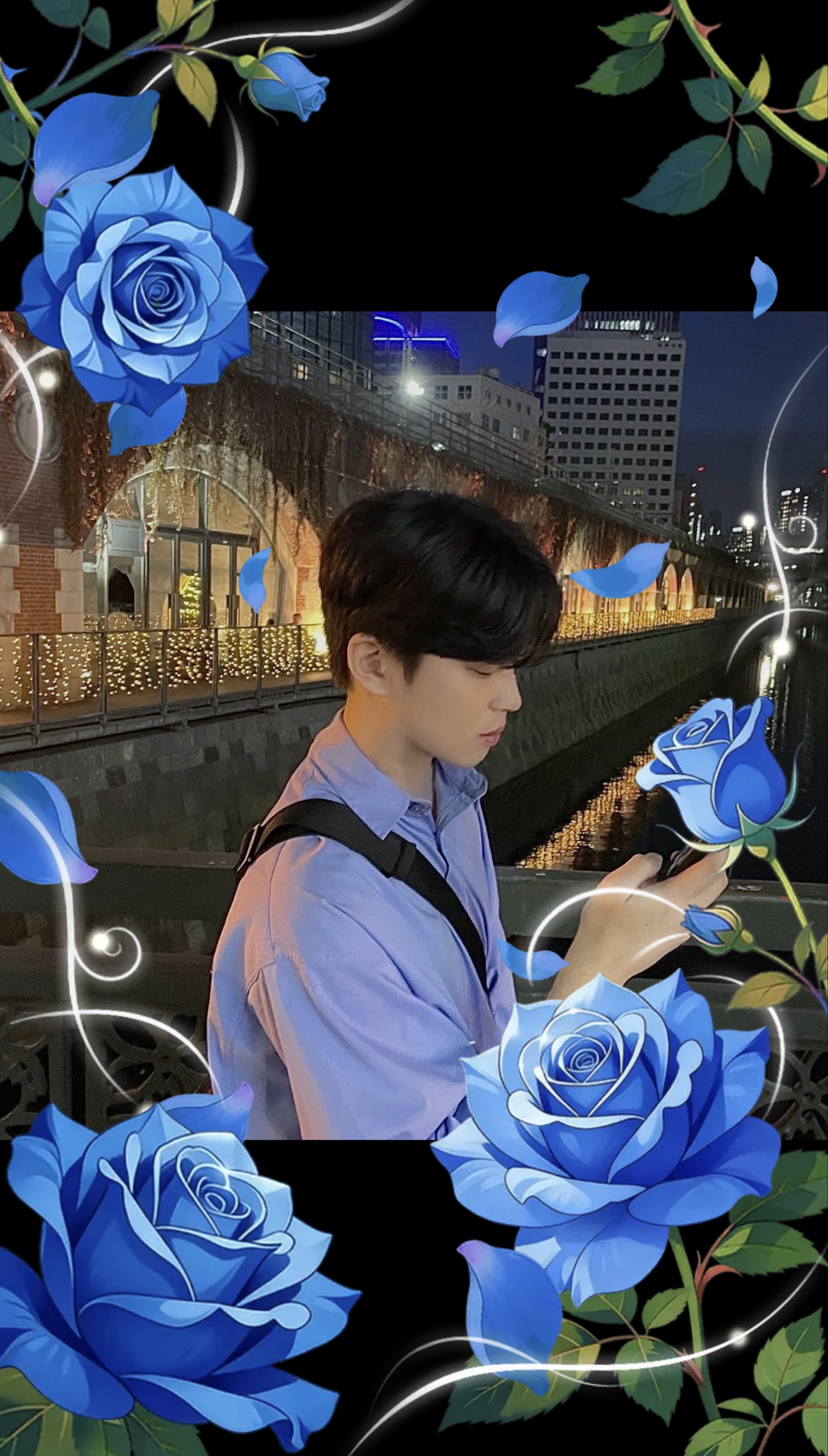 푸엥치 ✿∘˚˳°∘°