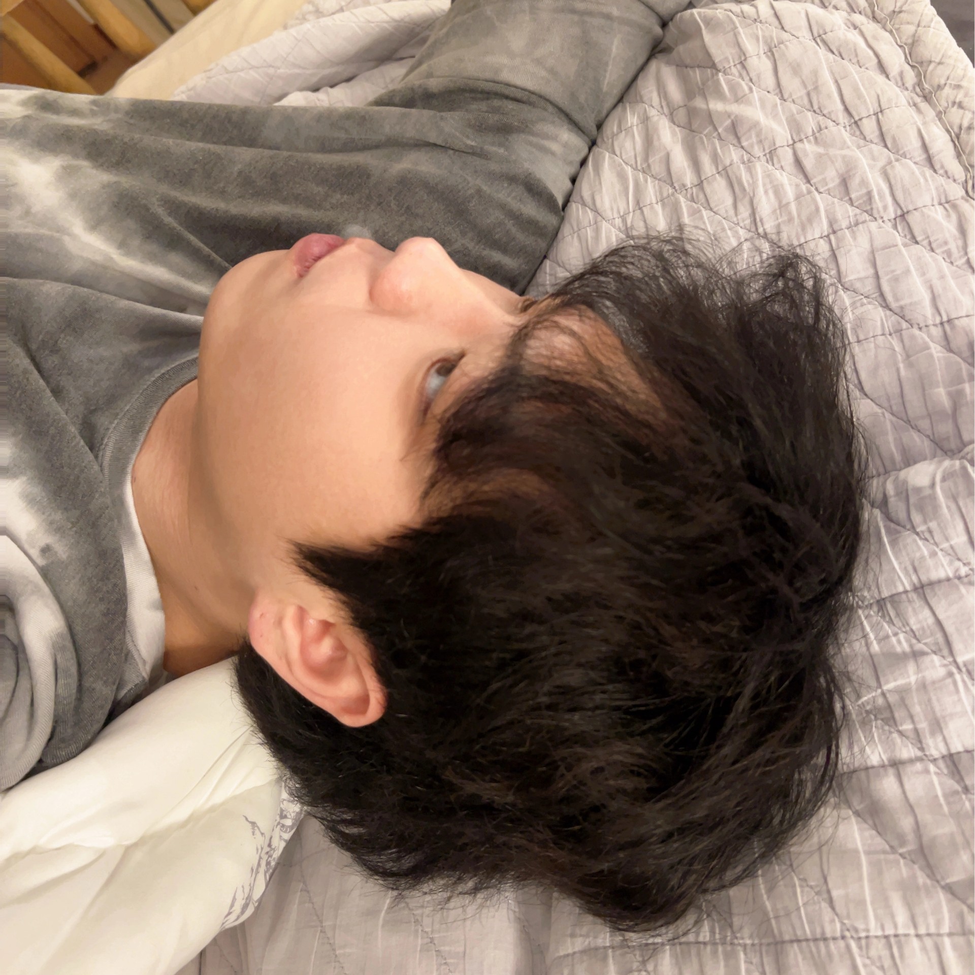 보우