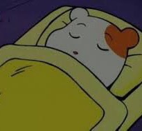 달파랑 ❨ ⋆.⁺ ꙳