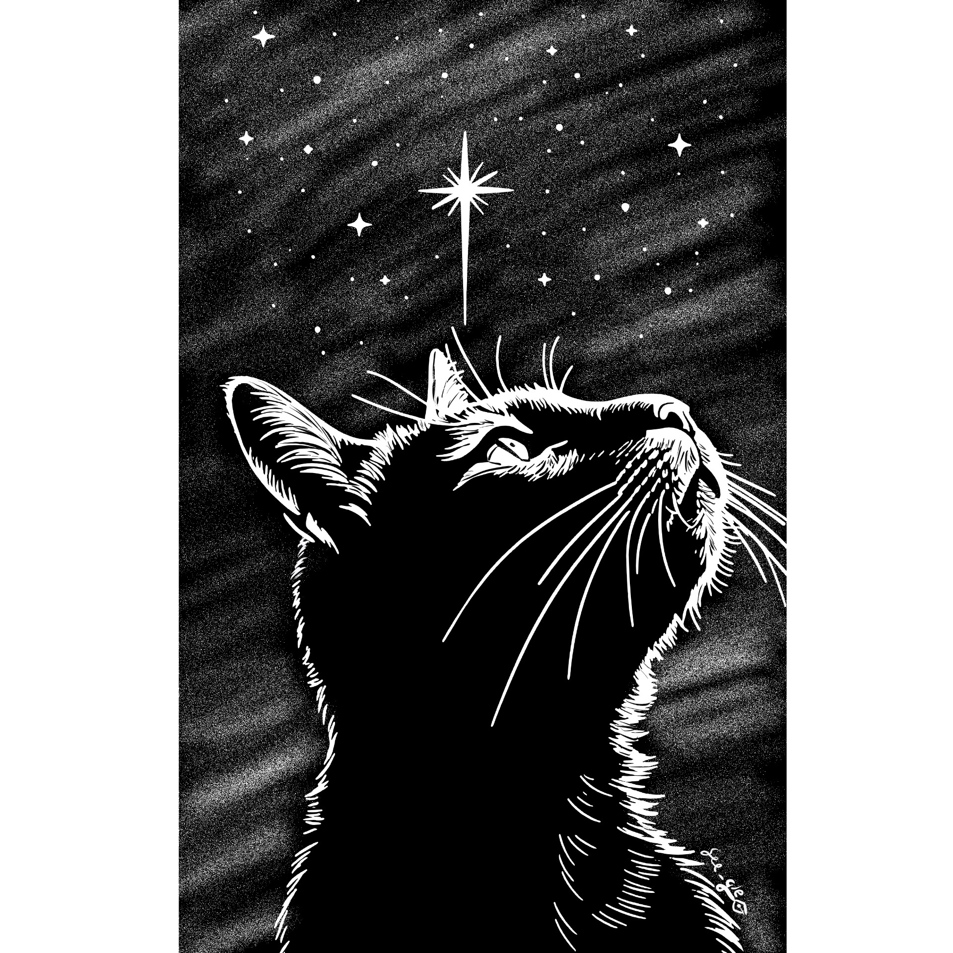 ᵗᵒᵒᵛ ࣪⊹ see_gle✒