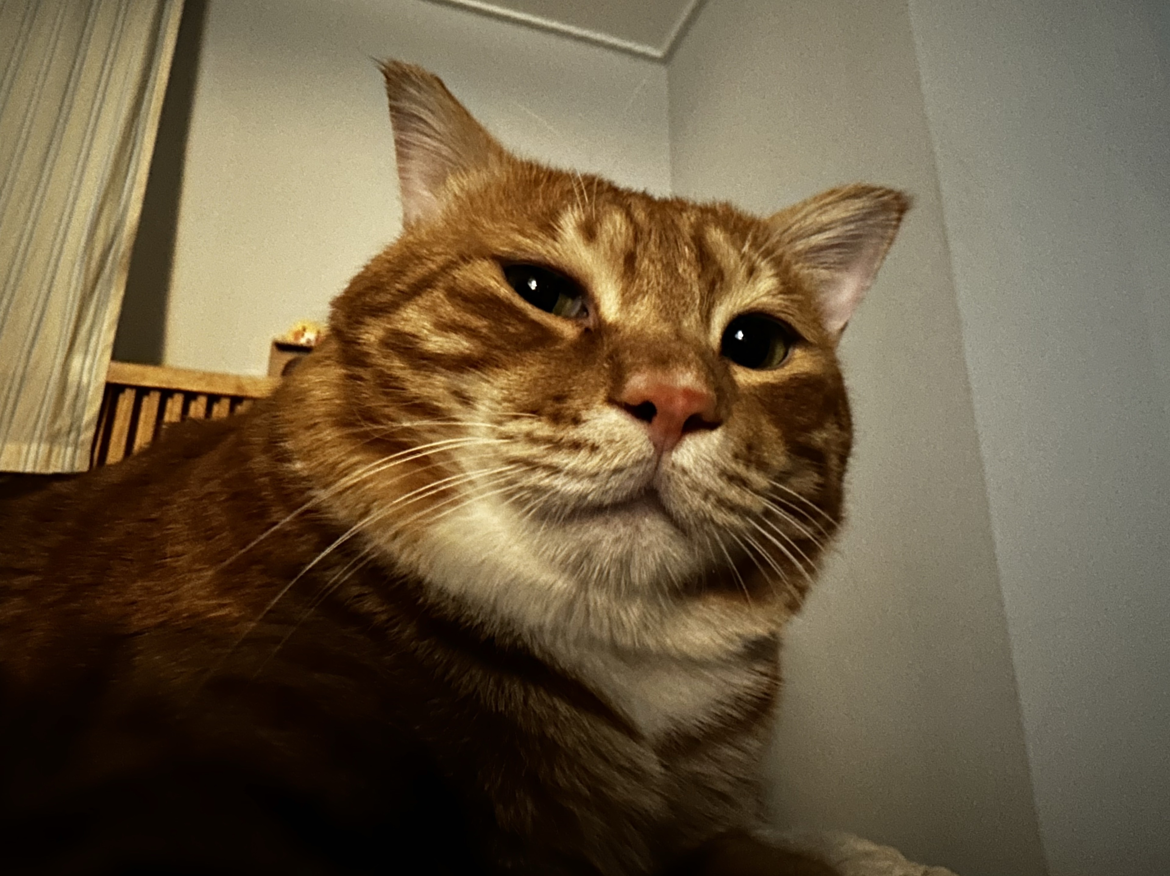 𝙻𝚞𝚡 ☀︎.·˚