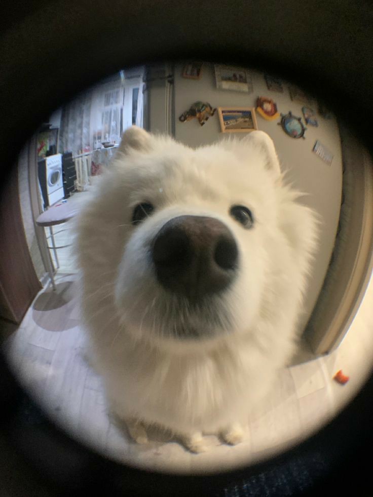 𝔸𝔼 하루 勿忘草 ㅻ*: