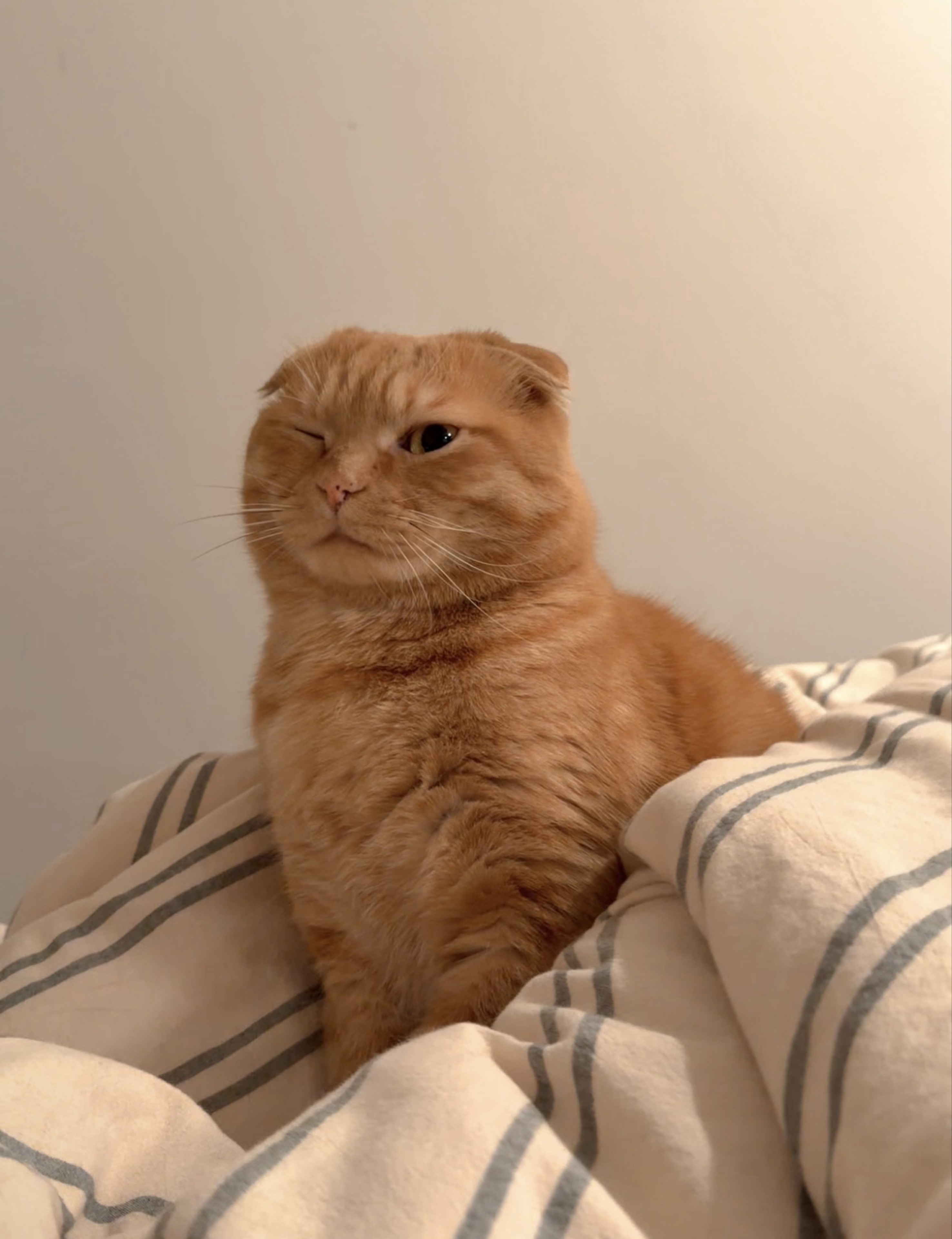 시으니 ❤︎ ༘ ໊